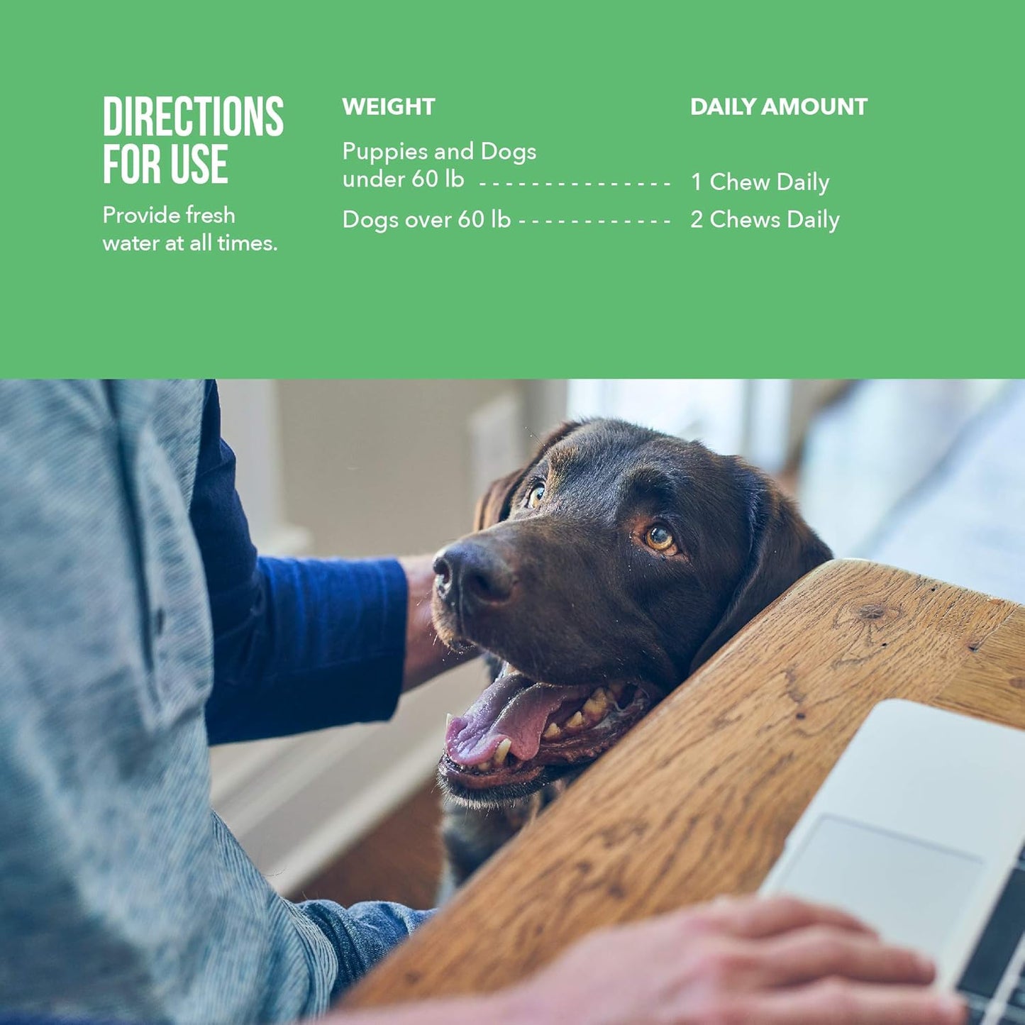 Elanco Lactoquil Soft Chews Probiotic Supplement for Dogs - 75 Count - Promotes Digestive Health and Pet Protection