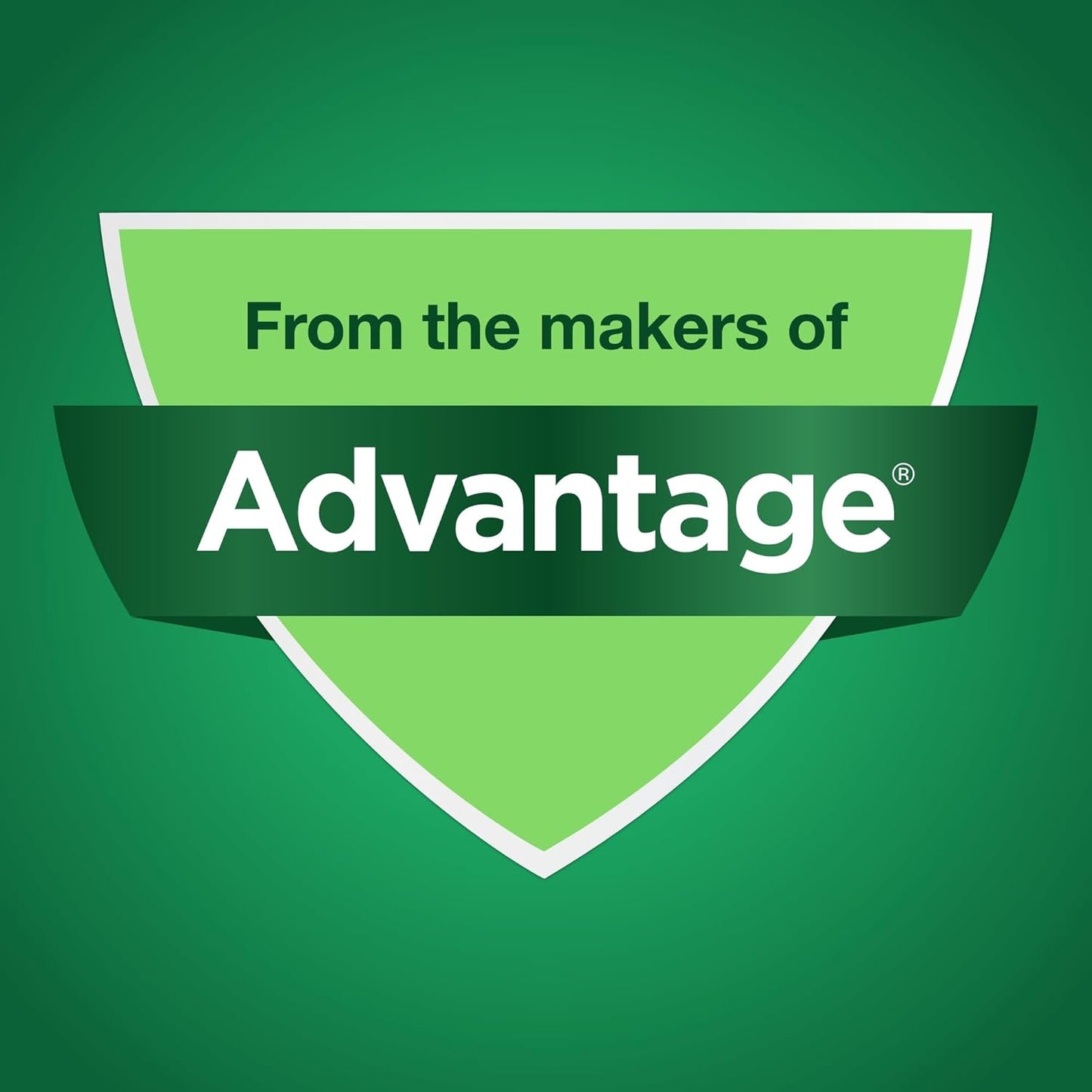 Elanco Lactoquil Soft Chews Probiotic Supplement for Dogs - 75 Count - Promotes Digestive Health and Pet Protection