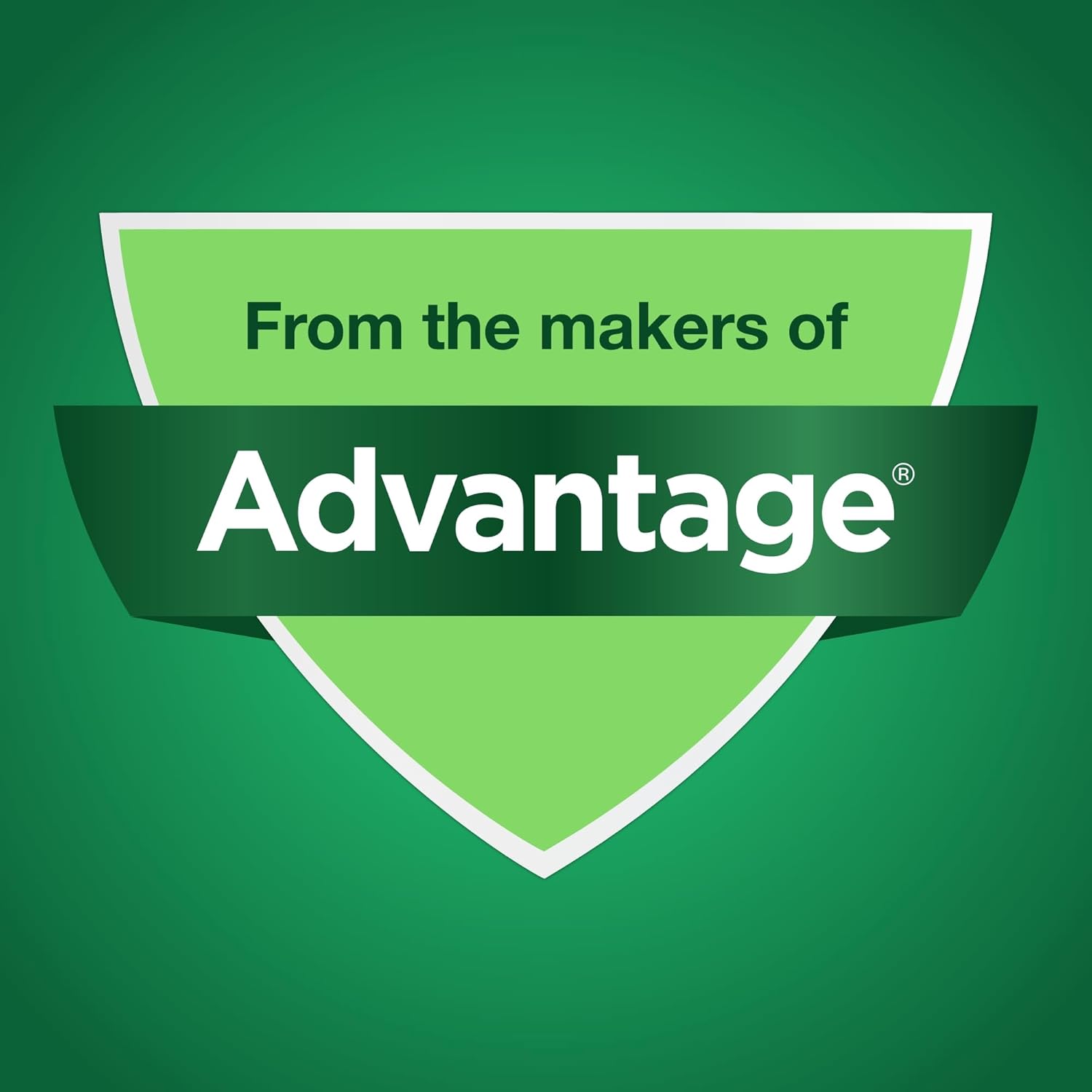 Elanco Lactoquil Soft Chews Probiotic Supplement for Dogs - 75 Count - Promotes Digestive Health and Pet Protection