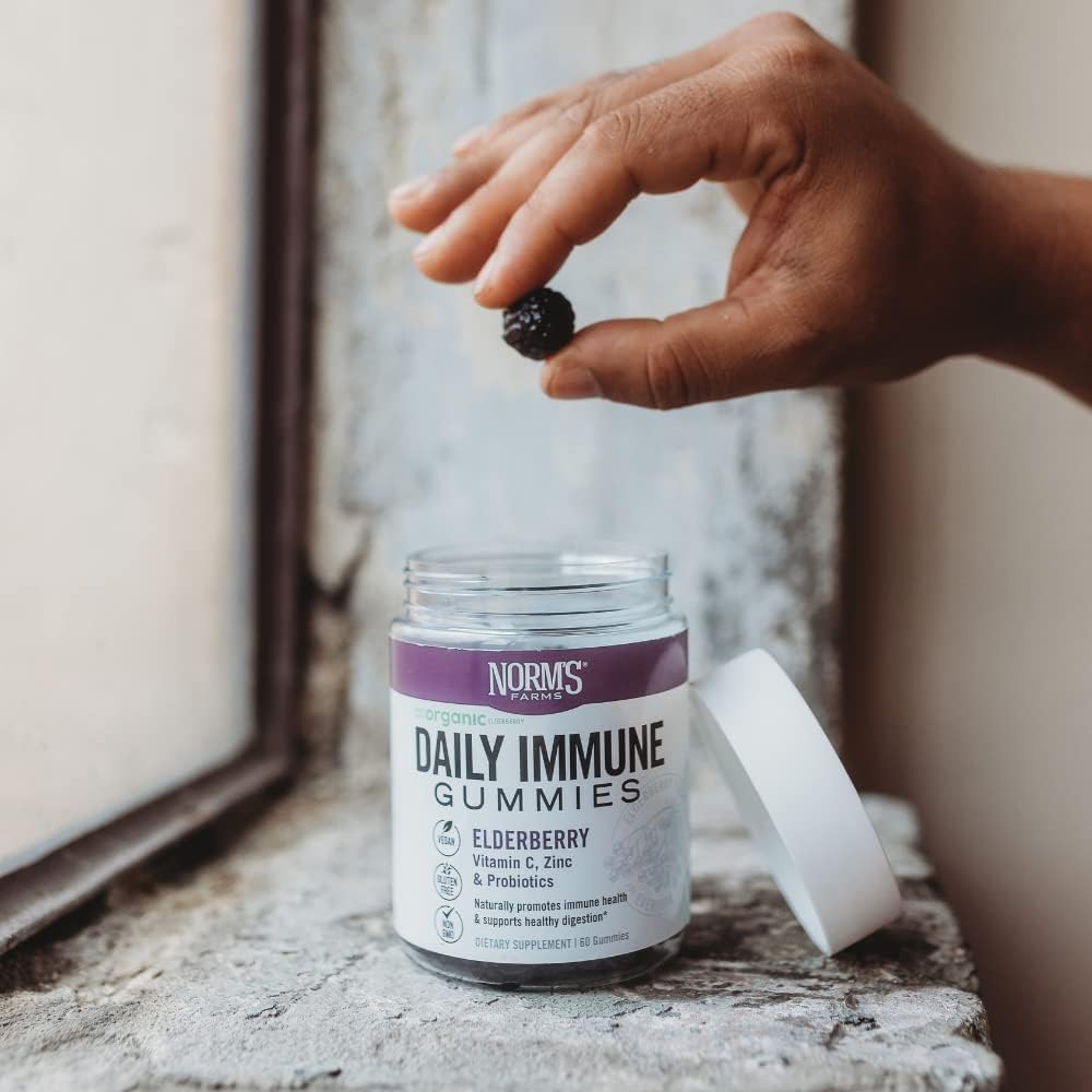 Elderberry Gummies with Vitamin C, Zinc, and Probiotics - Vegan, Gluten Free, Non-GMO - 120 Gummies