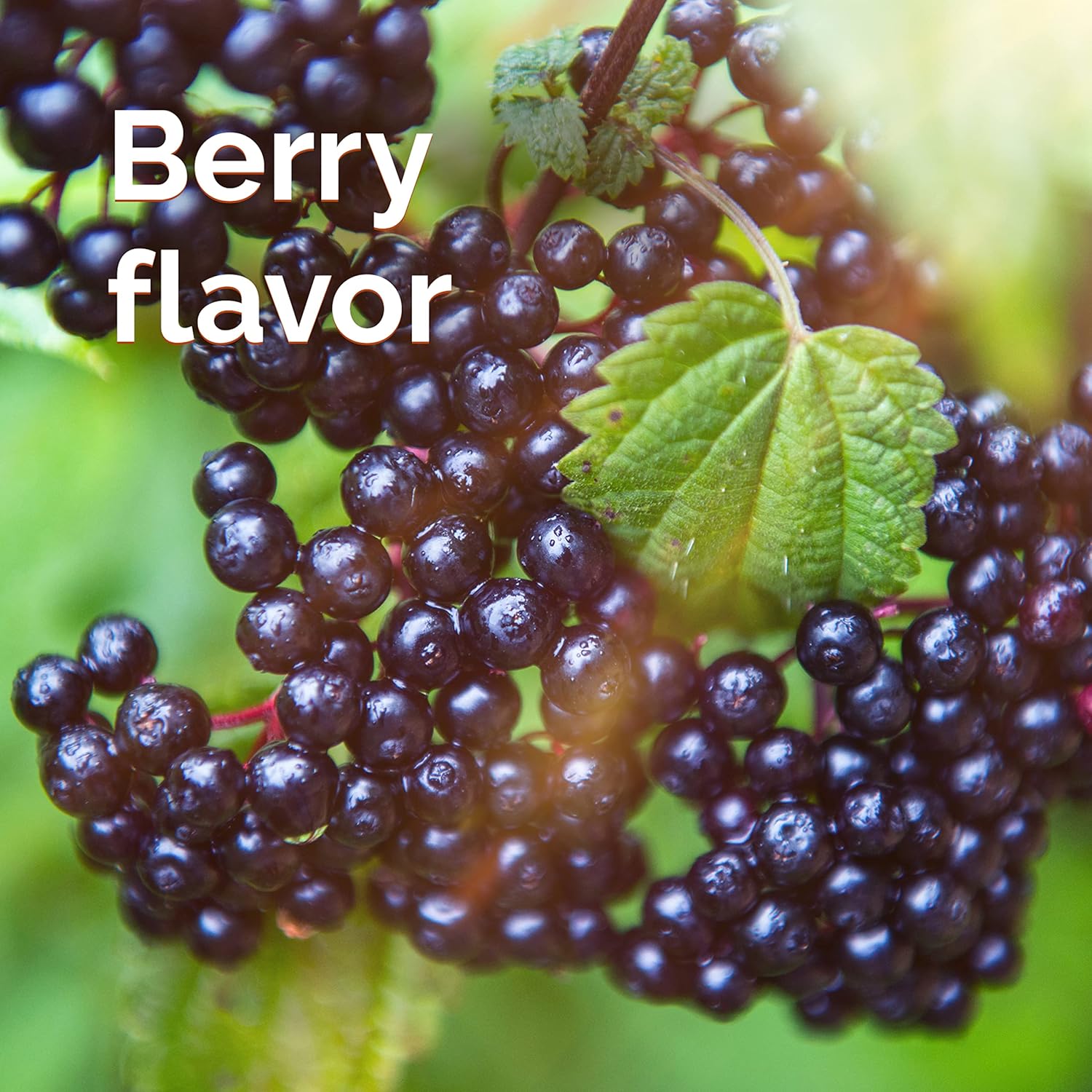 Elderberry Immune Support Fizzy Drink Mix with High Potency Vitamin C - 18 Count