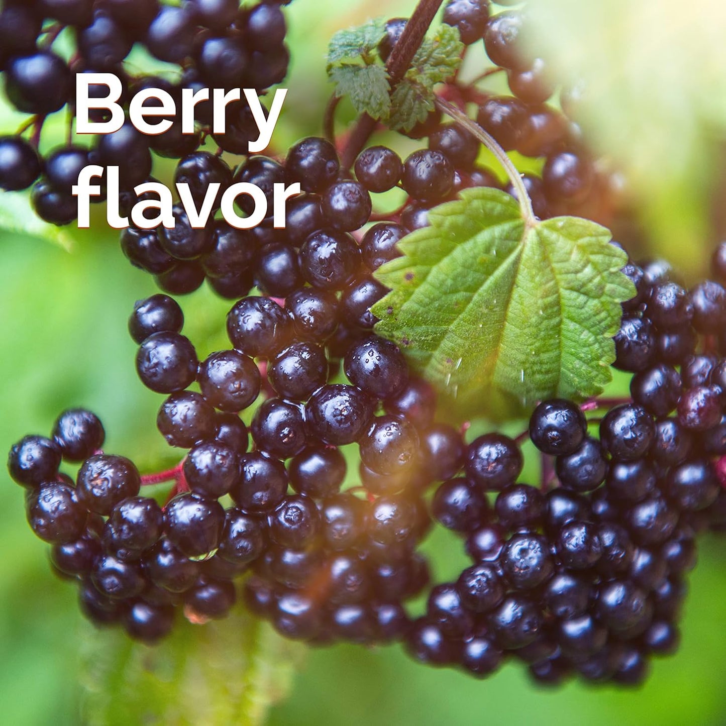 Elderberry Immune Support Fizzy Drink Mix with High Potency Vitamin C - 18 Count