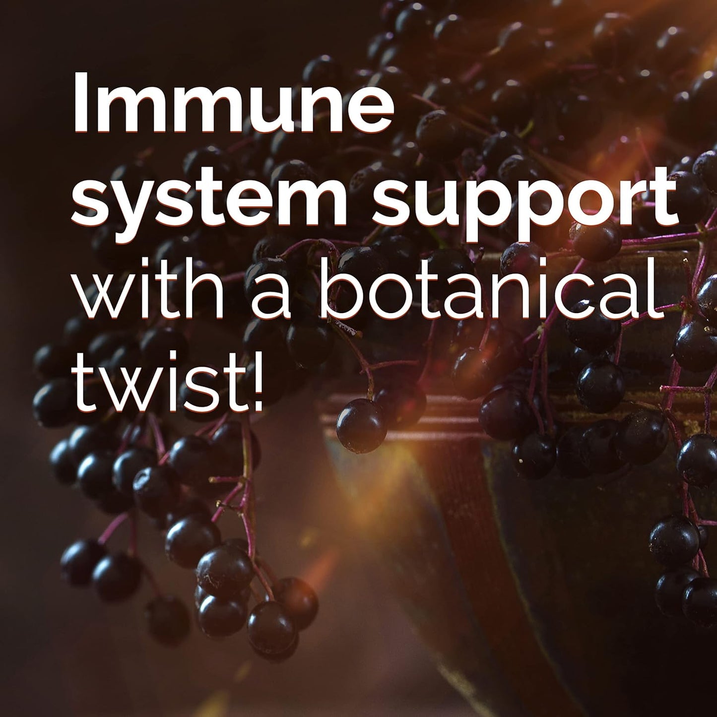 Elderberry Immune Support Fizzy Drink Mix with High Potency Vitamin C - 18 Count