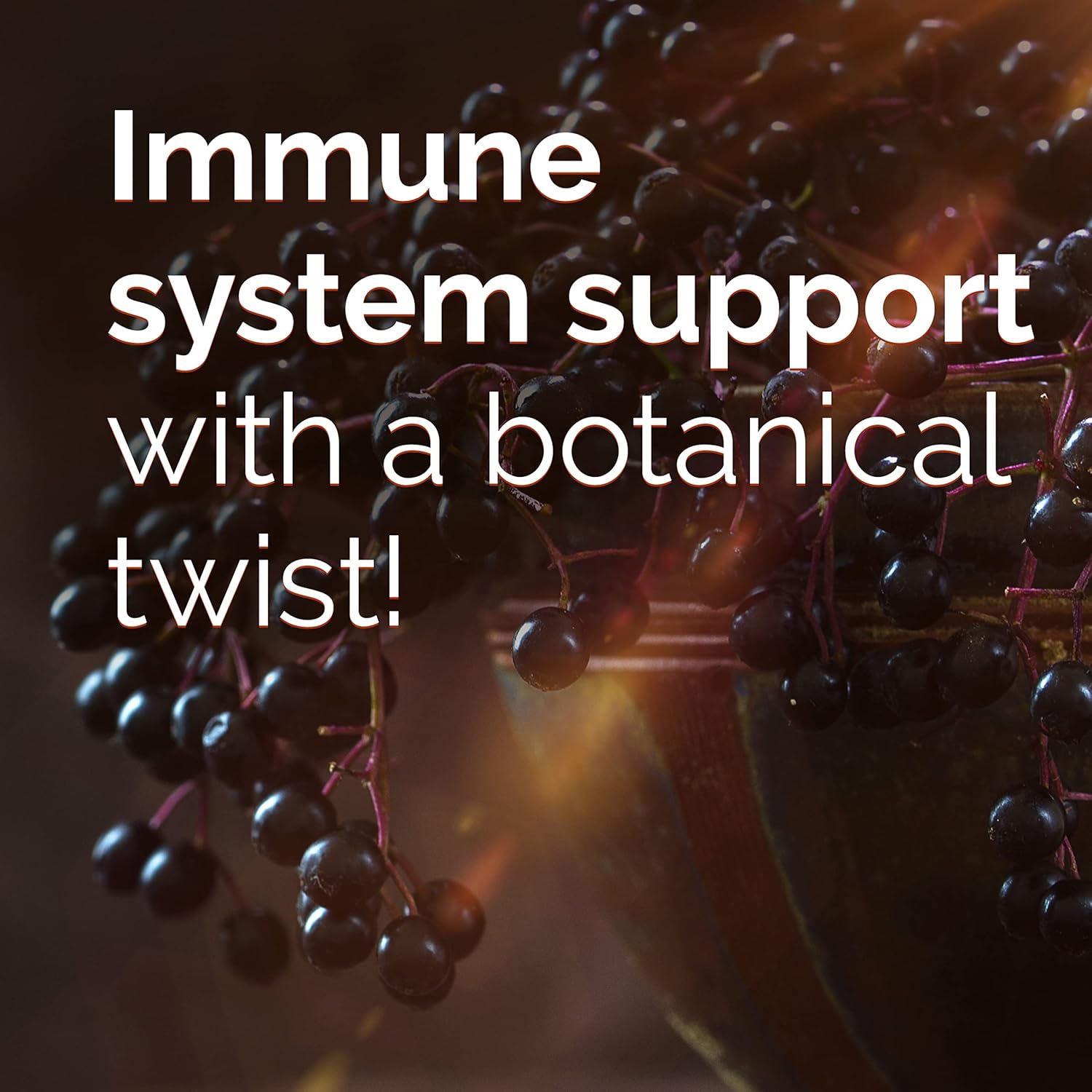 Elderberry Immune Support Fizzy Drink Mix with High Potency Vitamin C - 18 Count