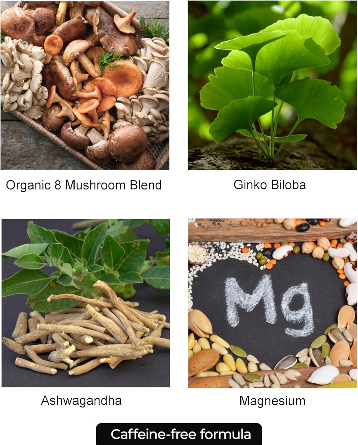 Elevate Nootropic Brain Supplement for Focus, Memory & Mood with 8 Mushroom Blend, Ginkgo Biloba, Ashwagandha, and Magnesium - Caffeine-Free Concentration Booster by PUR Wellness