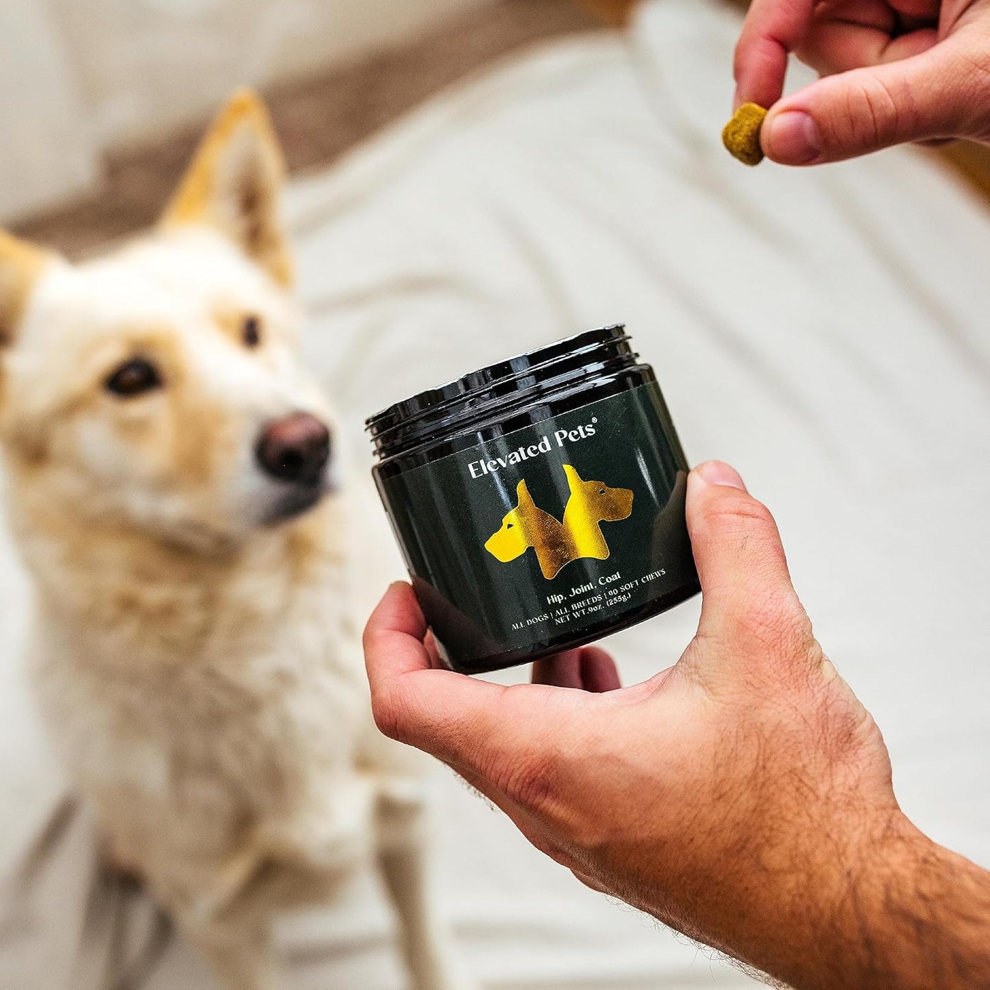 Elevated Pets Ultimate Dog Vitamin Supplement with Omega 3 Fish Oil, MSM, Glucosamine, Chondroitin, EPA/DHA, Turmeric, and Allergy Chews