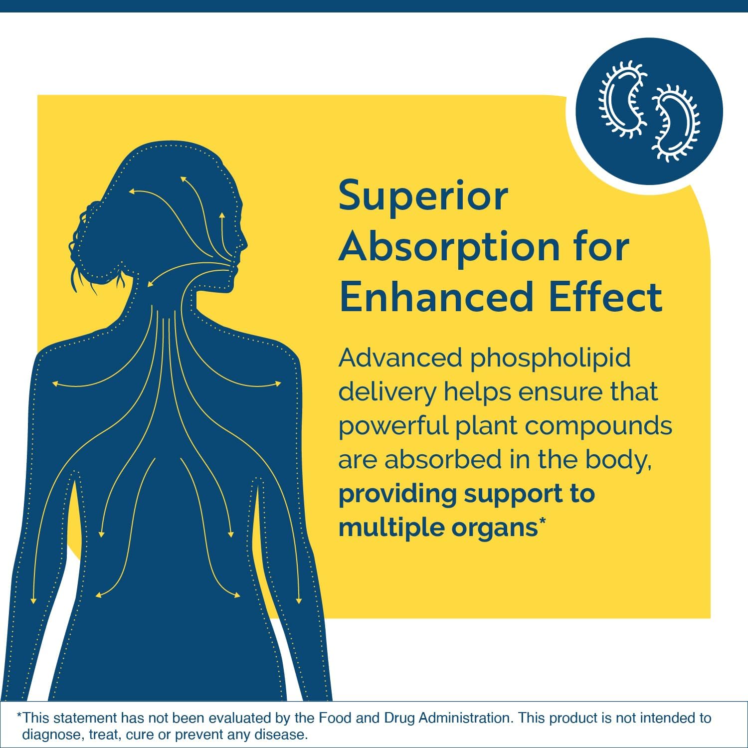 Elim-A-Cand Candida Support Tincture with Berberine, Slippery Elm, Cinnamon Bark, PAU D'Arco & Marshmallow Root - Gut Health Supplement - Herbal Detox Formula (4 Fl Oz)