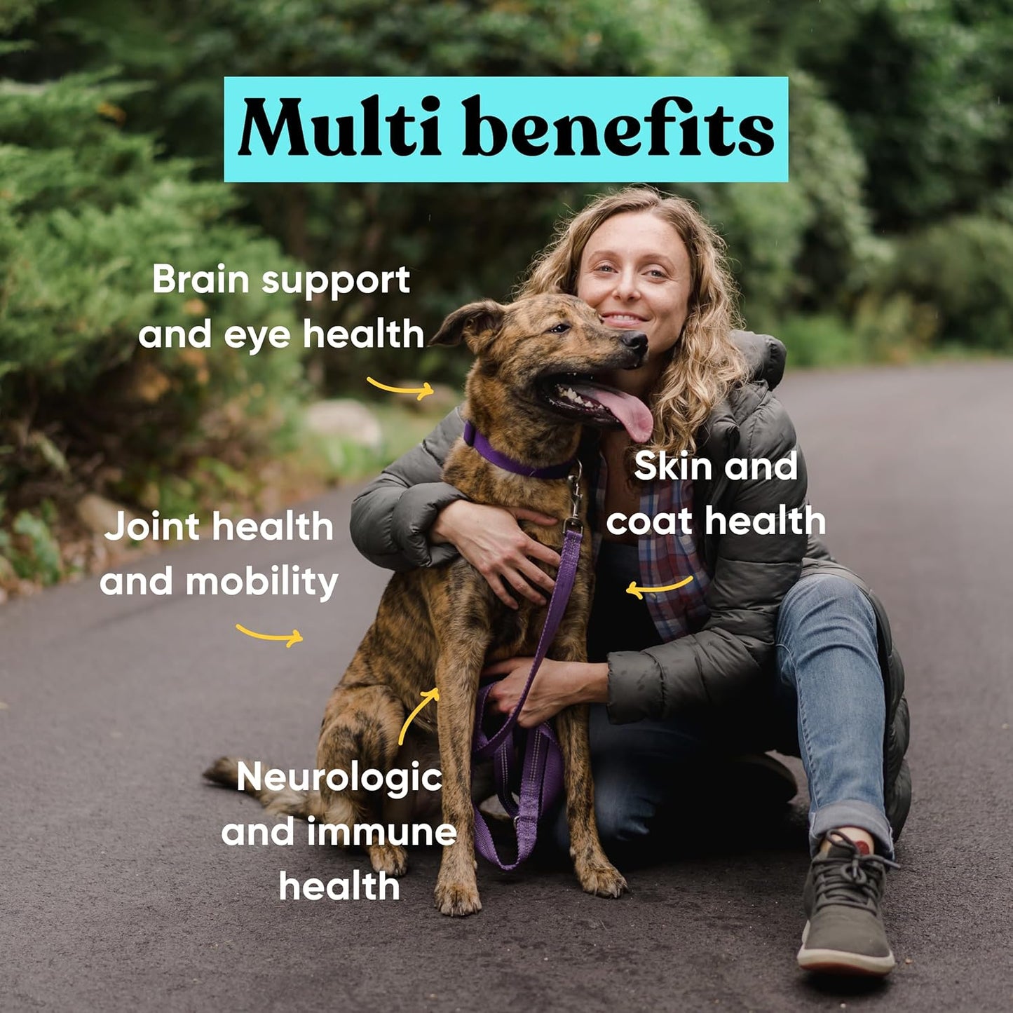 Embark Dog Multibenefit Soft Chews - All-in-One Supplement for Joint, Skin, Coat, Brain, and Immune Health - Vet-Formulated Natural Ingredients - 90 Chews