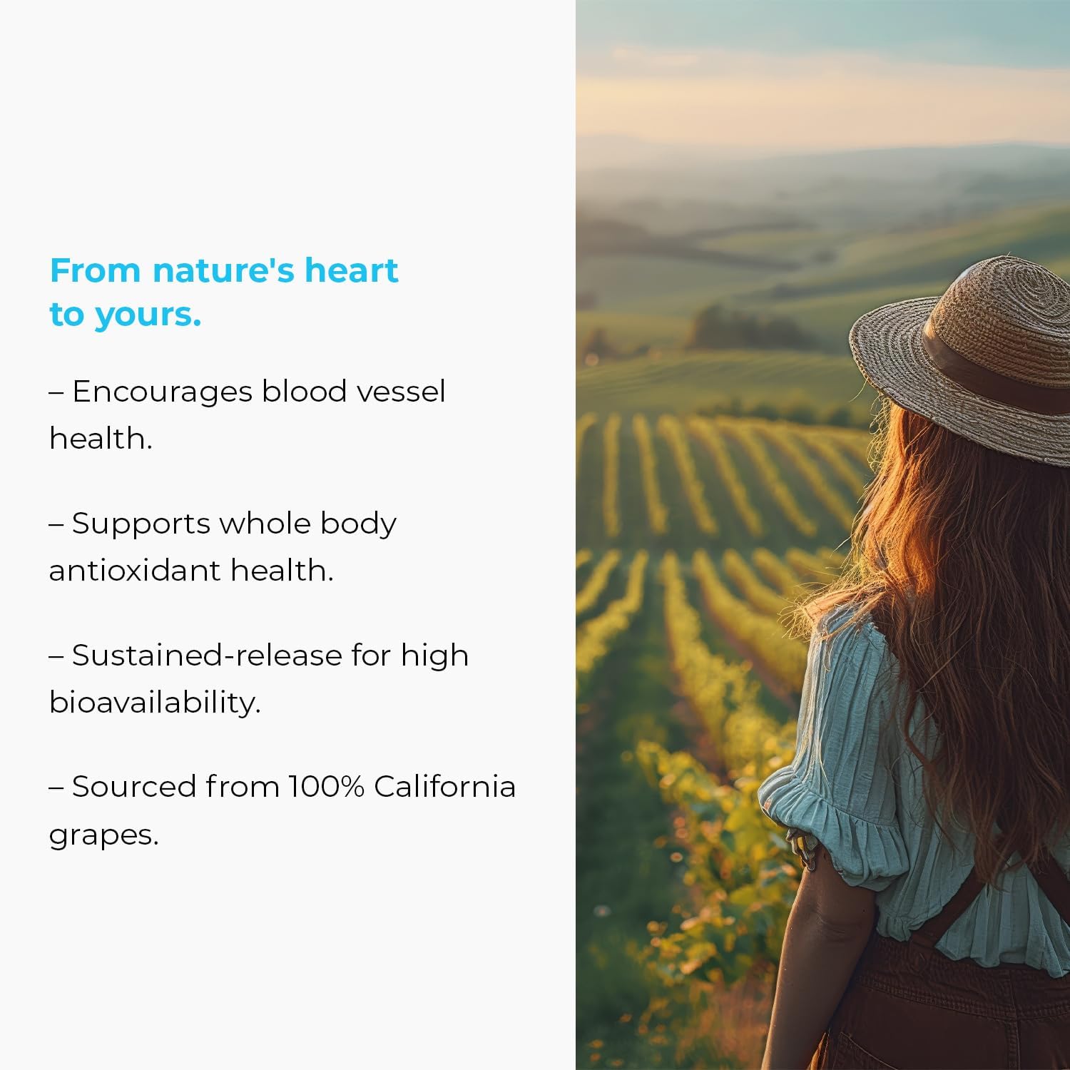 Endurance Products MegaNatural BP Grape Seed Extract Supplements - Sustained-release Herbal Supplement for Energy Support, 150mg, 120 Tablets