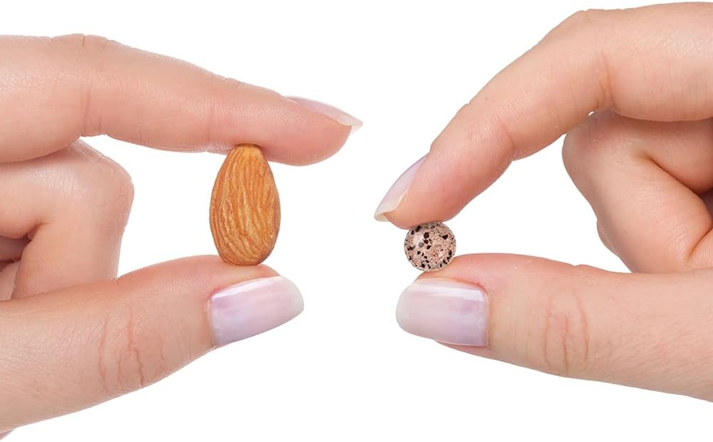 Energy & Aging Support with Seeking Health PQQ Lozenges - Antioxidant Supplement 20 mg, 30 Lozenges for Healthy Living