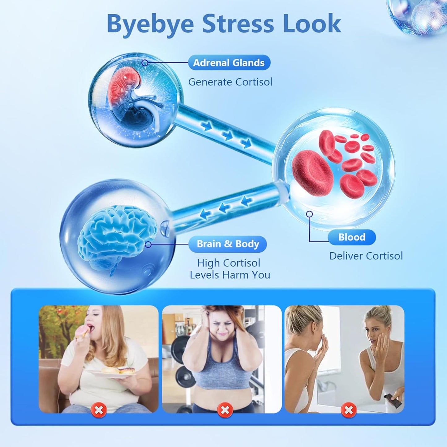 Energy and Calmness Support with Ashwagandha, Maca, Magnesium, Vitamin B6, B12 - Cortisol Supplement for Men and Women - 90 Capsules