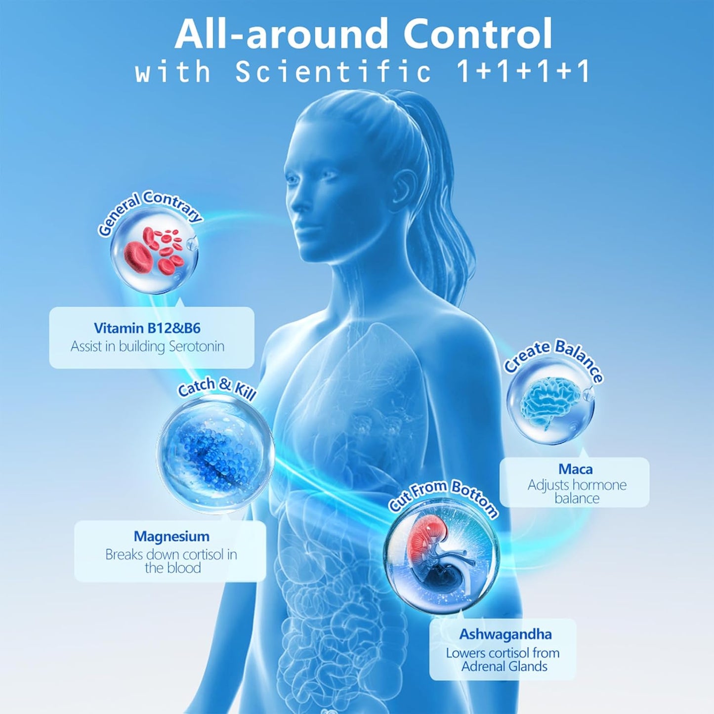 Energy and Calmness Support with Ashwagandha, Maca, Magnesium, Vitamin B6, B12 - Cortisol Supplement for Men and Women - 90 Capsules