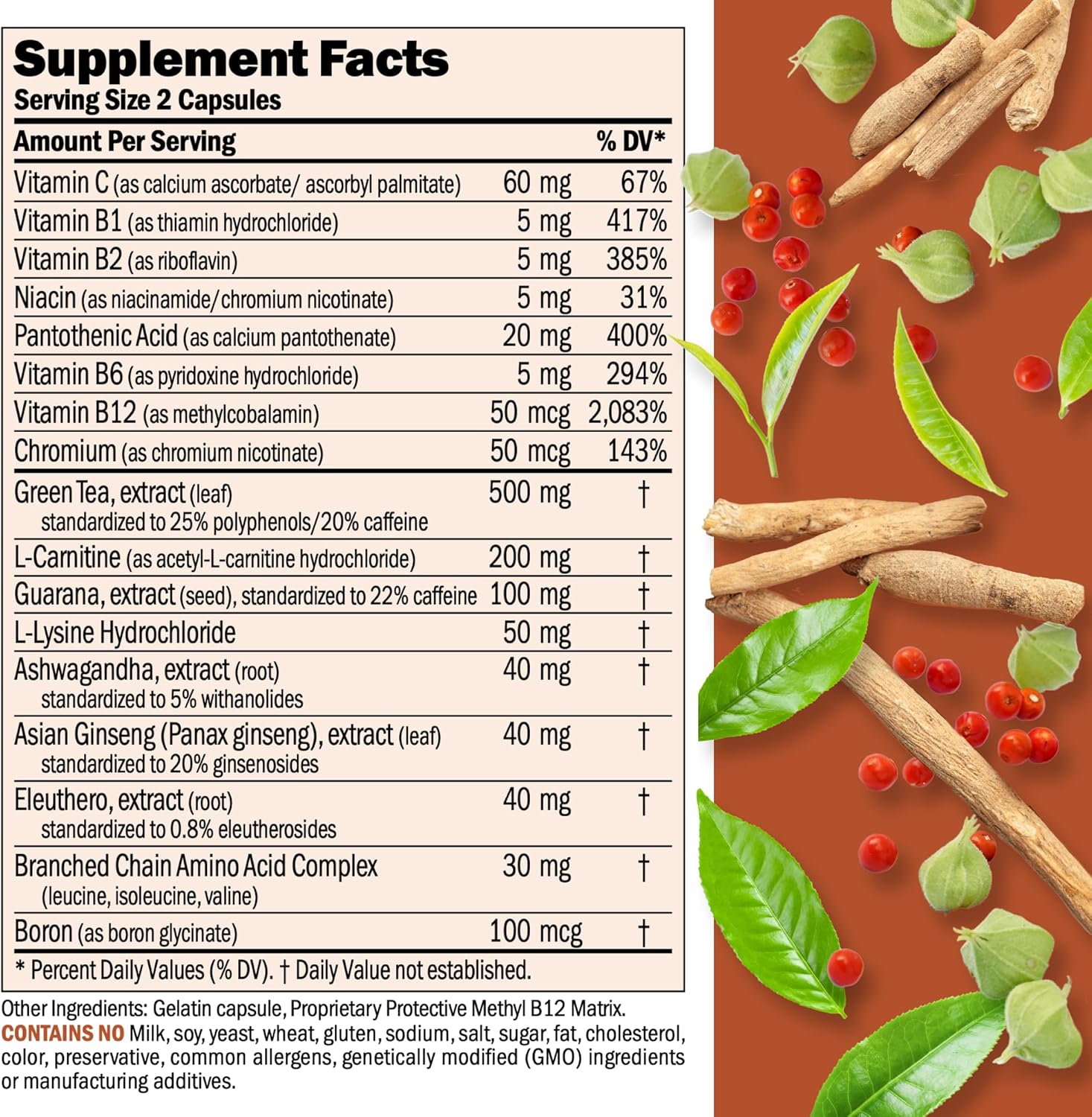 Energy and Fat Metabolism Support Capsules with Carnitine, Green Tea, Guarana, Ginseng, B-Complex - 30 Easy-to-Swallow Capsules