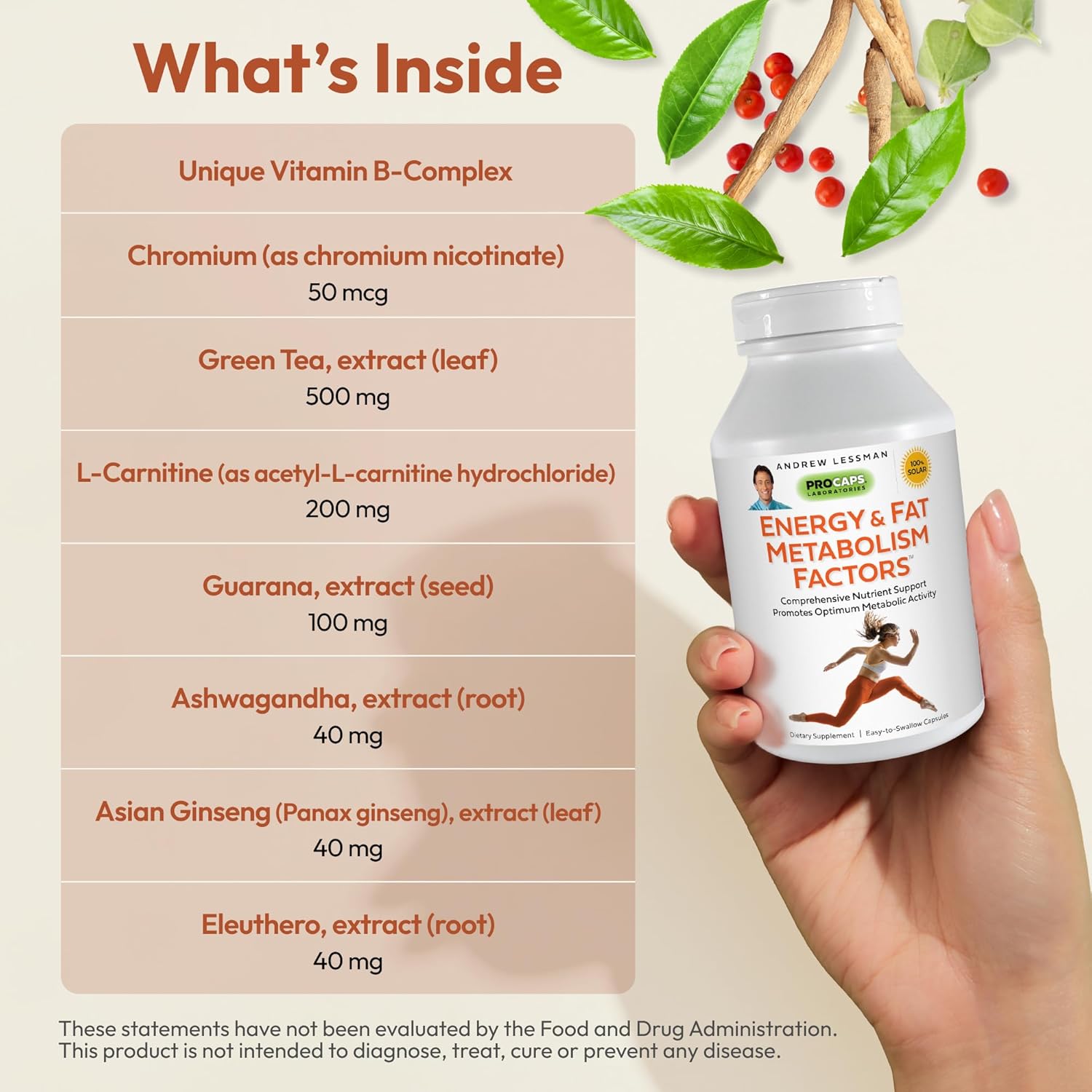 Energy and Fat Metabolism Support Capsules with Carnitine, Green Tea, Guarana, Ginseng, B-Complex - 30 Easy-to-Swallow Capsules