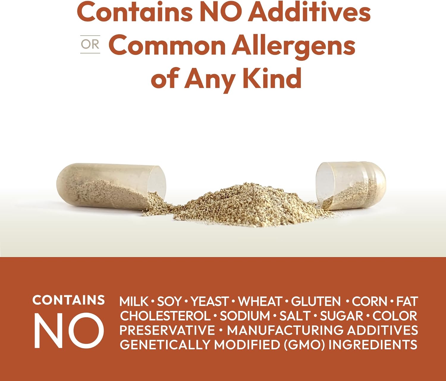 Energy and Fat Metabolism Support Capsules with Carnitine, Green Tea, Guarana, Ginseng, B-Complex - 30 Easy-to-Swallow Capsules