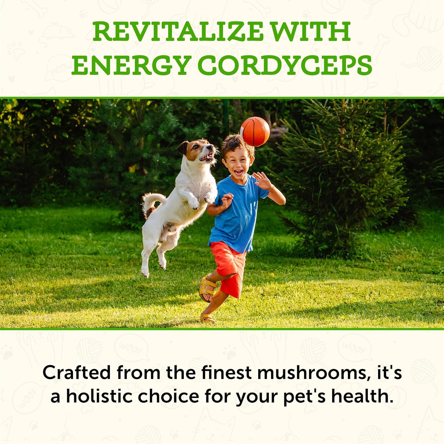 Energy-Boosting Cordyceps Mushroom Supplement for Pets - Enhances Stamina & Respiratory Health, Antioxidant Support - 2.8 Oz