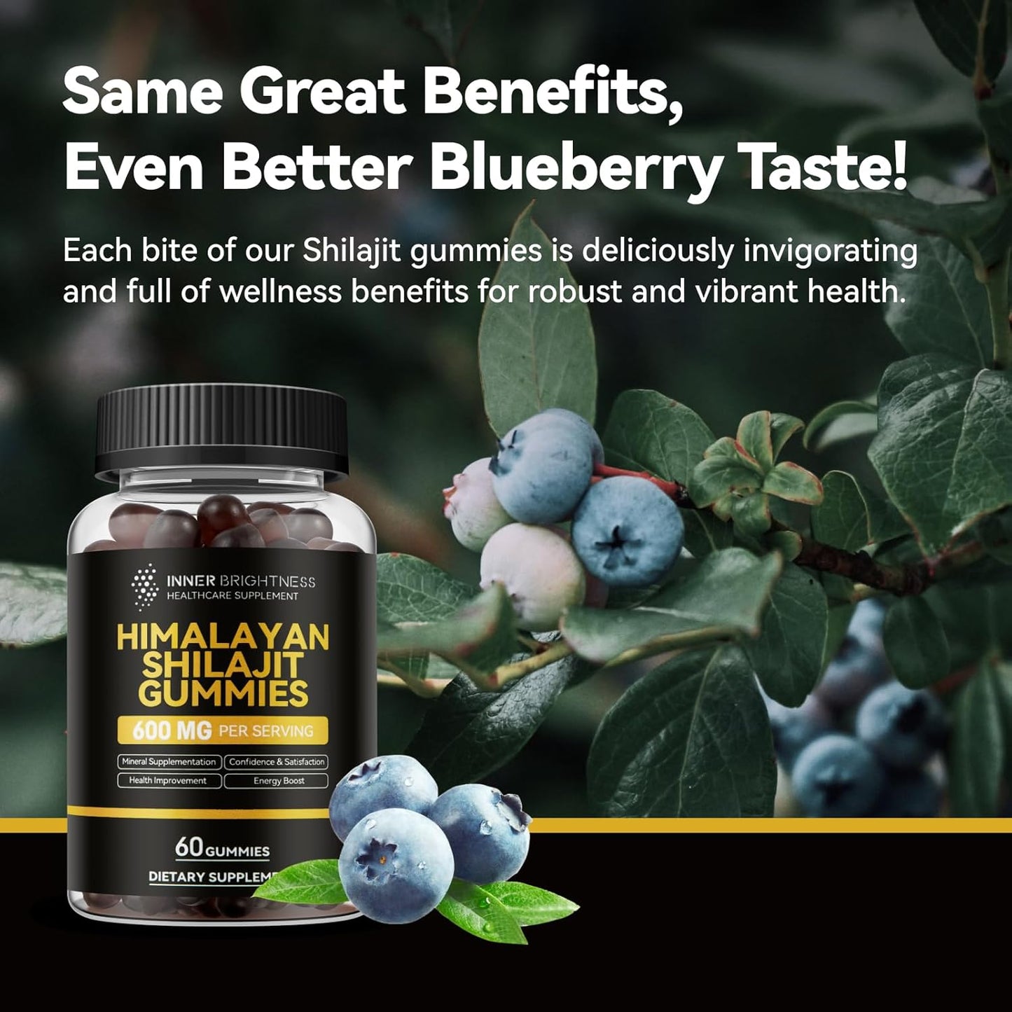 Energy-Boosting NAD & Shilajit Gummies Bundle for Metabolism, Immunity & Stamina - Supports Healthy Aging