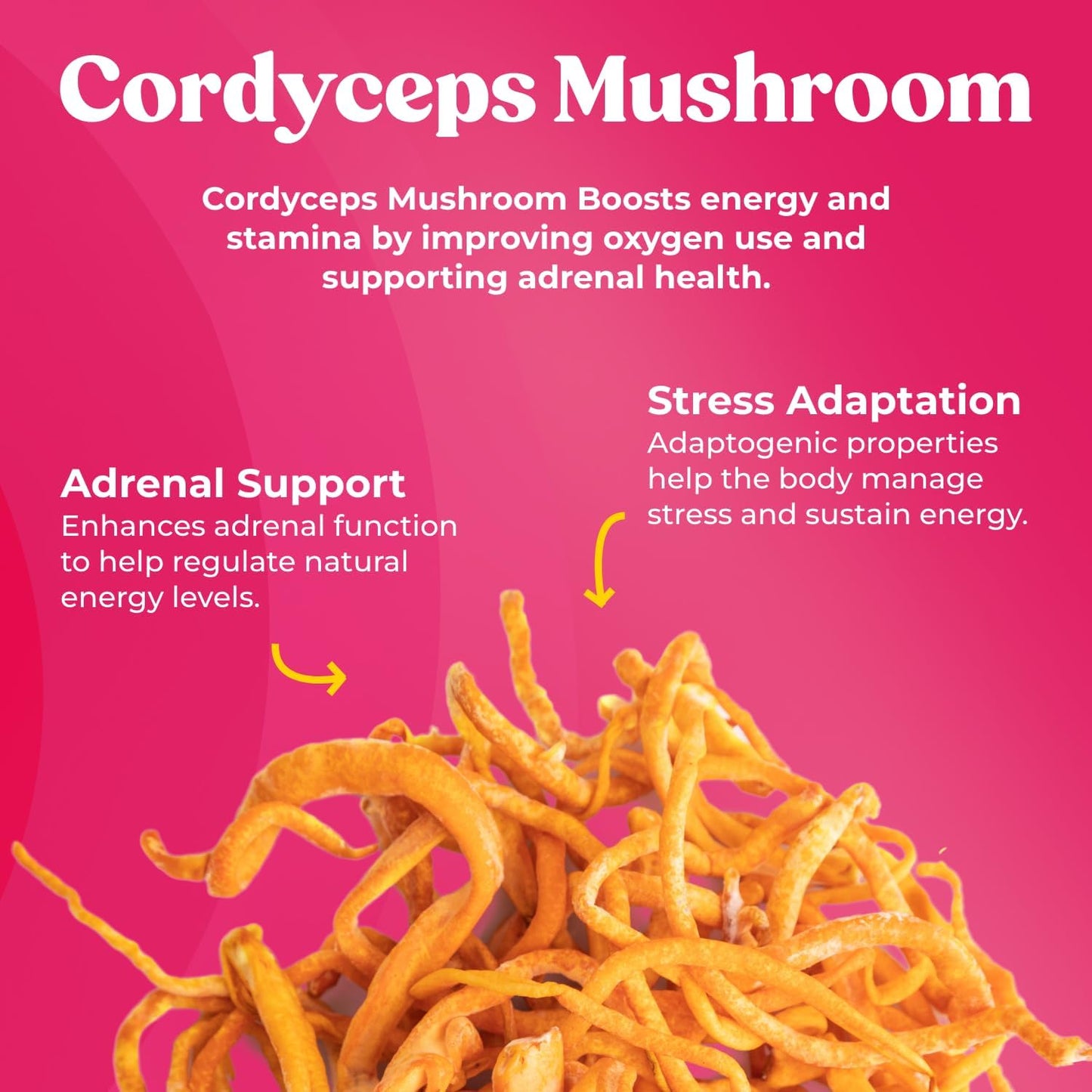 Energy & Focus Mushroom Supplement with Cordyceps, Beta-Glucan, Green Tea Extract, and Ginseng - Immune Support & Memory Boost - 60 Capsules