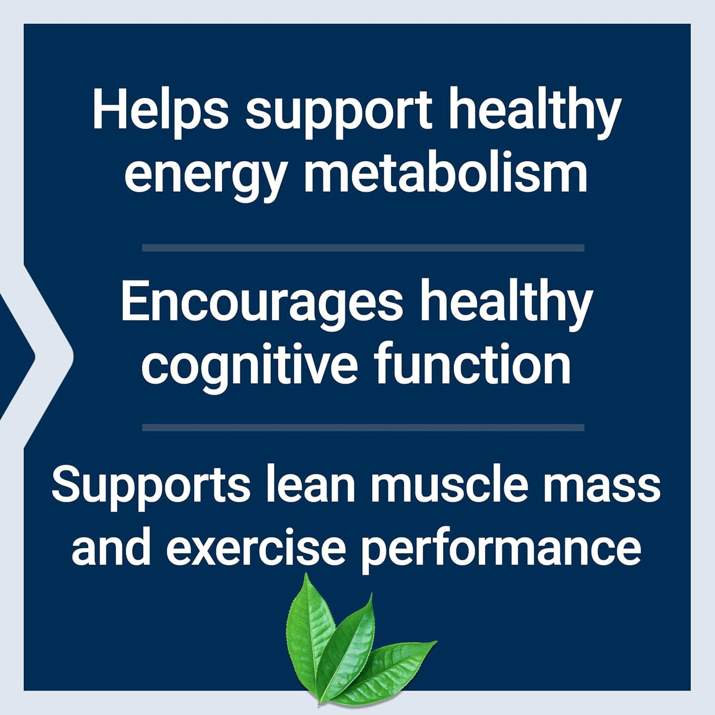 Energy Support Supplement with Creatine Monohydrate & Acetyl-L-Carnitine - 30 Servings, Vegetarian & Non-GMO