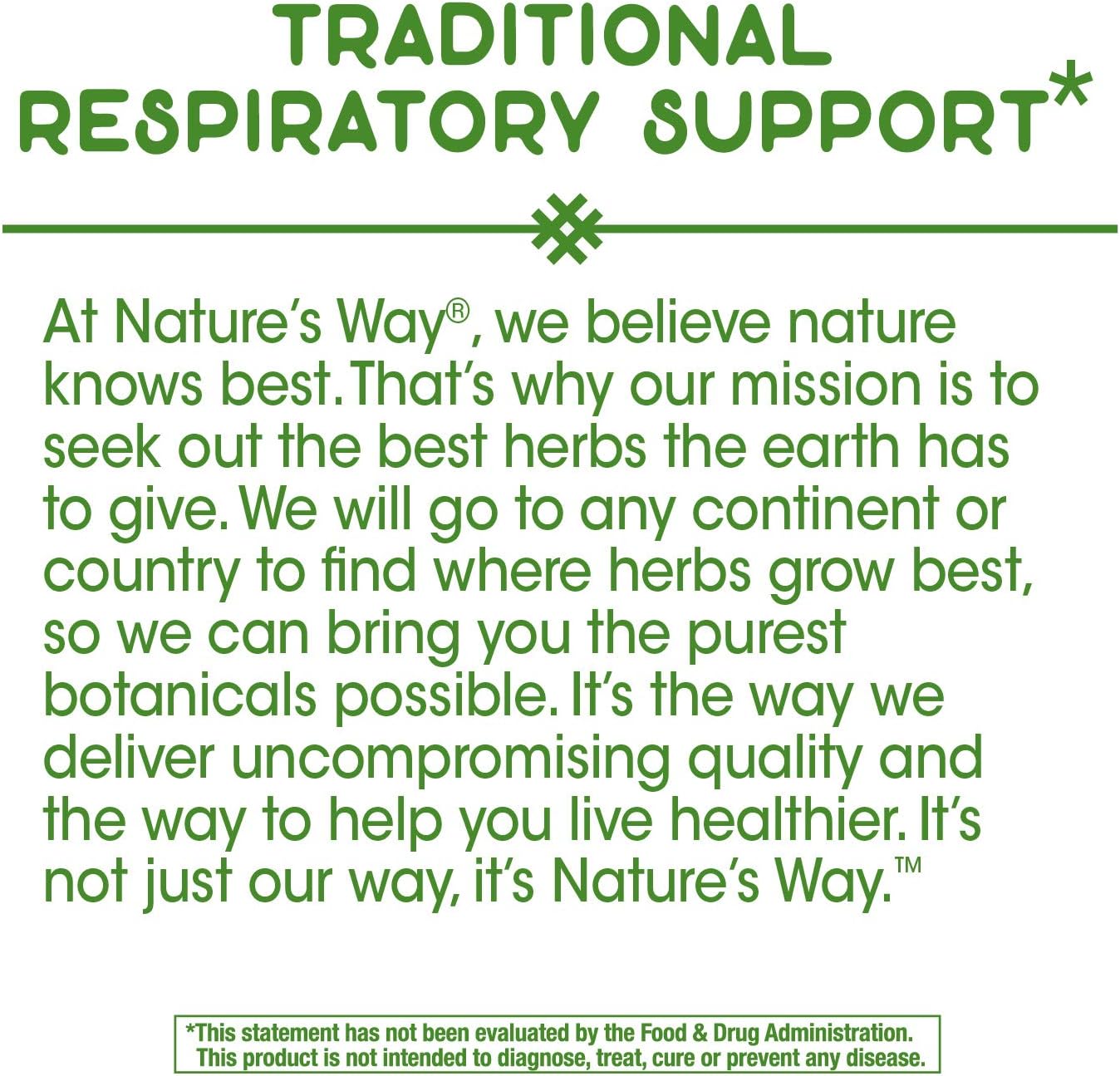 English Ivy Leaf Extract Tablets - Natural Respiratory Support Supplement (90 Count, 50mg Per Serving)