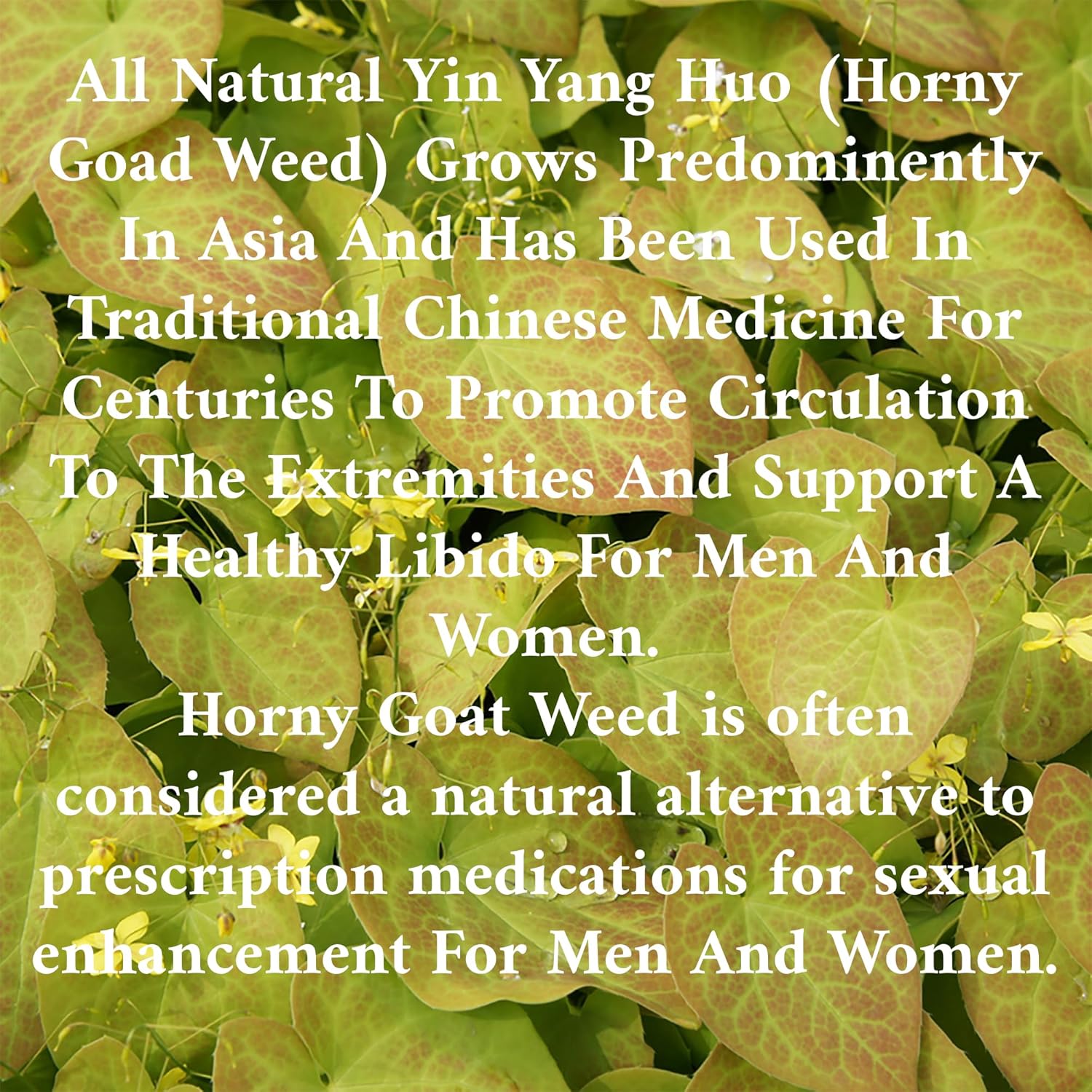 Enhance Libido Desire, Pleasure & Performance with Horny Goat Weed Supplement