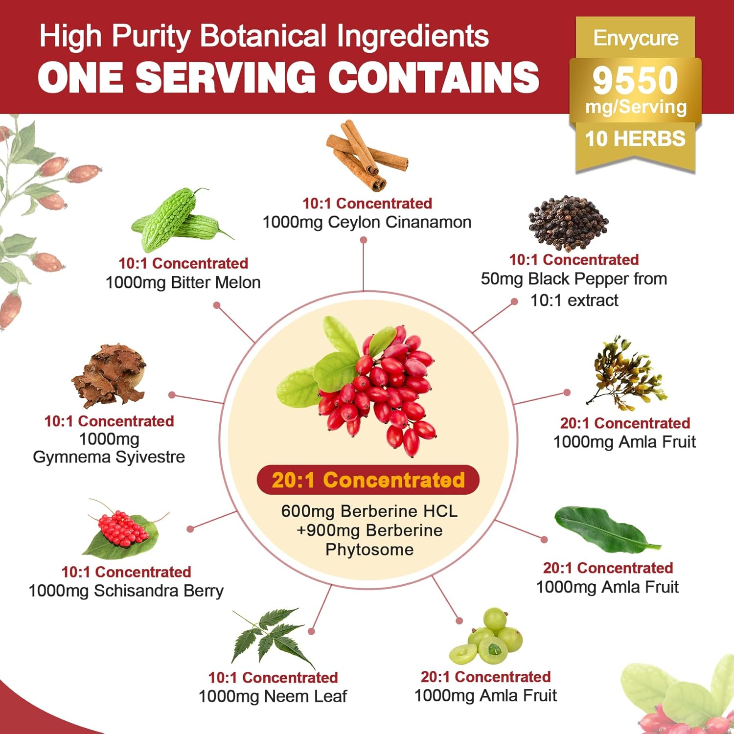 envycure Berberine 1500mg Supplement with Ceylon Cinnamon, Bitter Melon, Banana Leaf Extract - Immune Support & Body Management - 10-in-1 Formula - Non-GMO - 240 Veg Caps