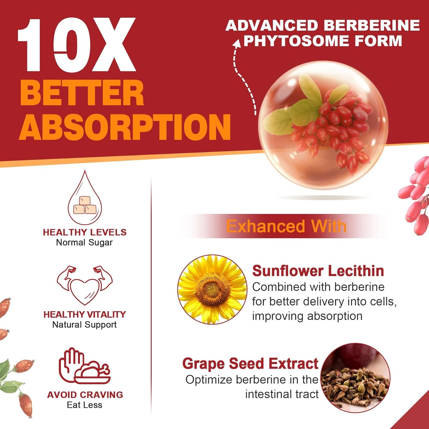 envycure Berberine 1500mg Supplement with Ceylon Cinnamon, Bitter Melon, Banana Leaf Extract - Immune Support & Body Management - 10-in-1 Formula - Non-GMO - 240 Veg Caps