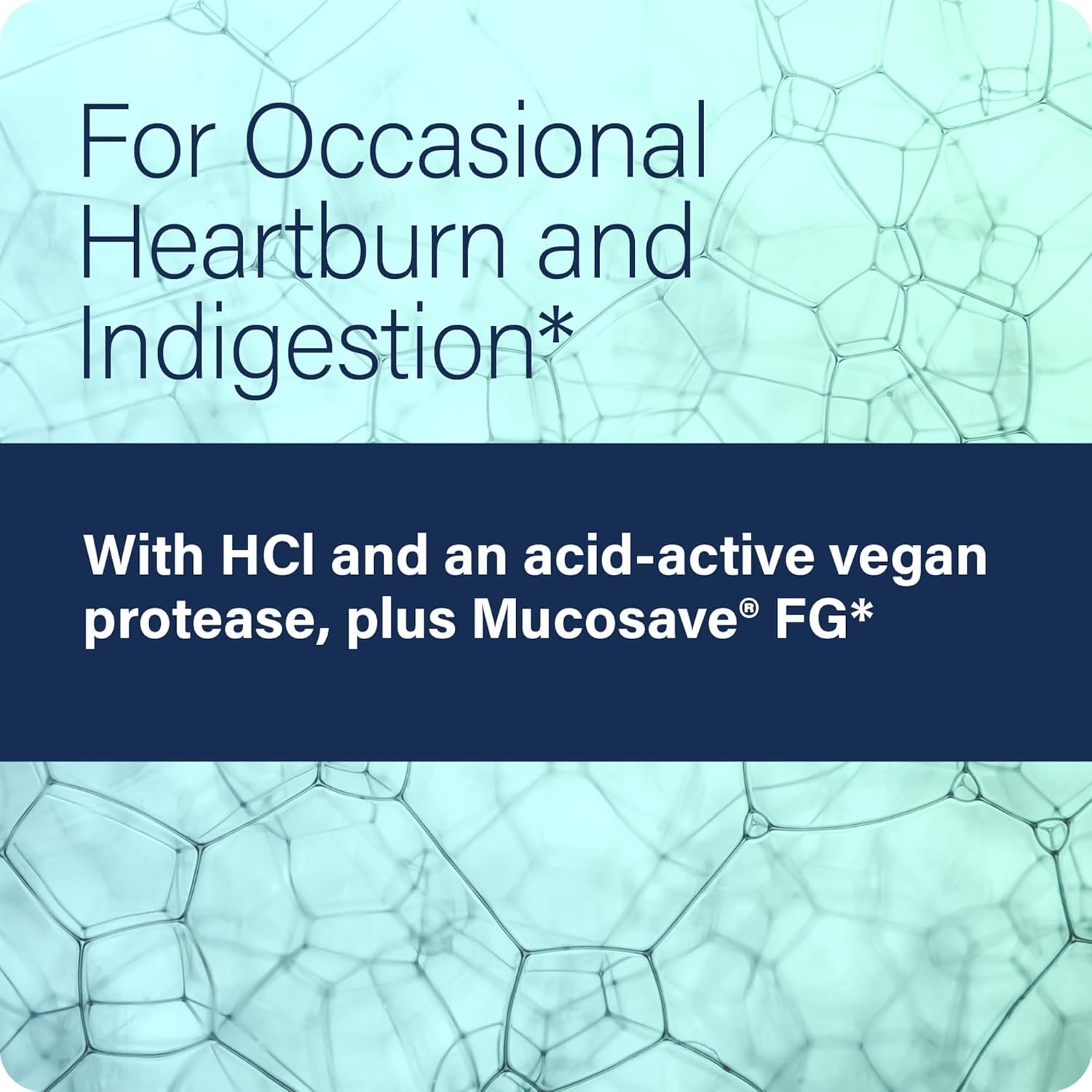 Enzyme Science Betaine HCl Capsules - Digestive Supplement for Heartburn & Indigestion, 120 Count