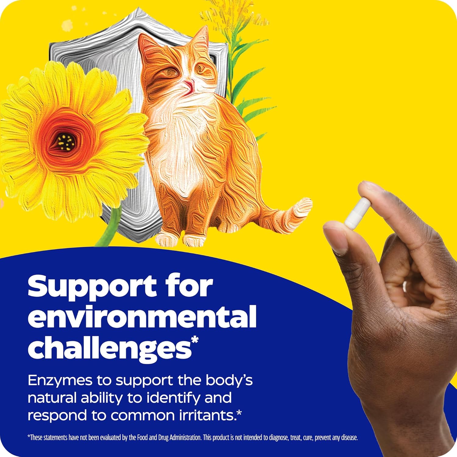 Enzymedica Allerase 60ct Non-Drowsy Enzyme Supplement for Seasonal Mucus Relief