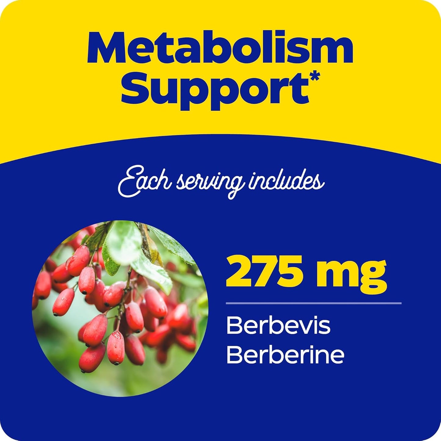 Enzymedica Berberine Phytosome Capsules - High Potency Vegan Metabolic Support Supplement with 9.6X Bioavailability - 60 Count