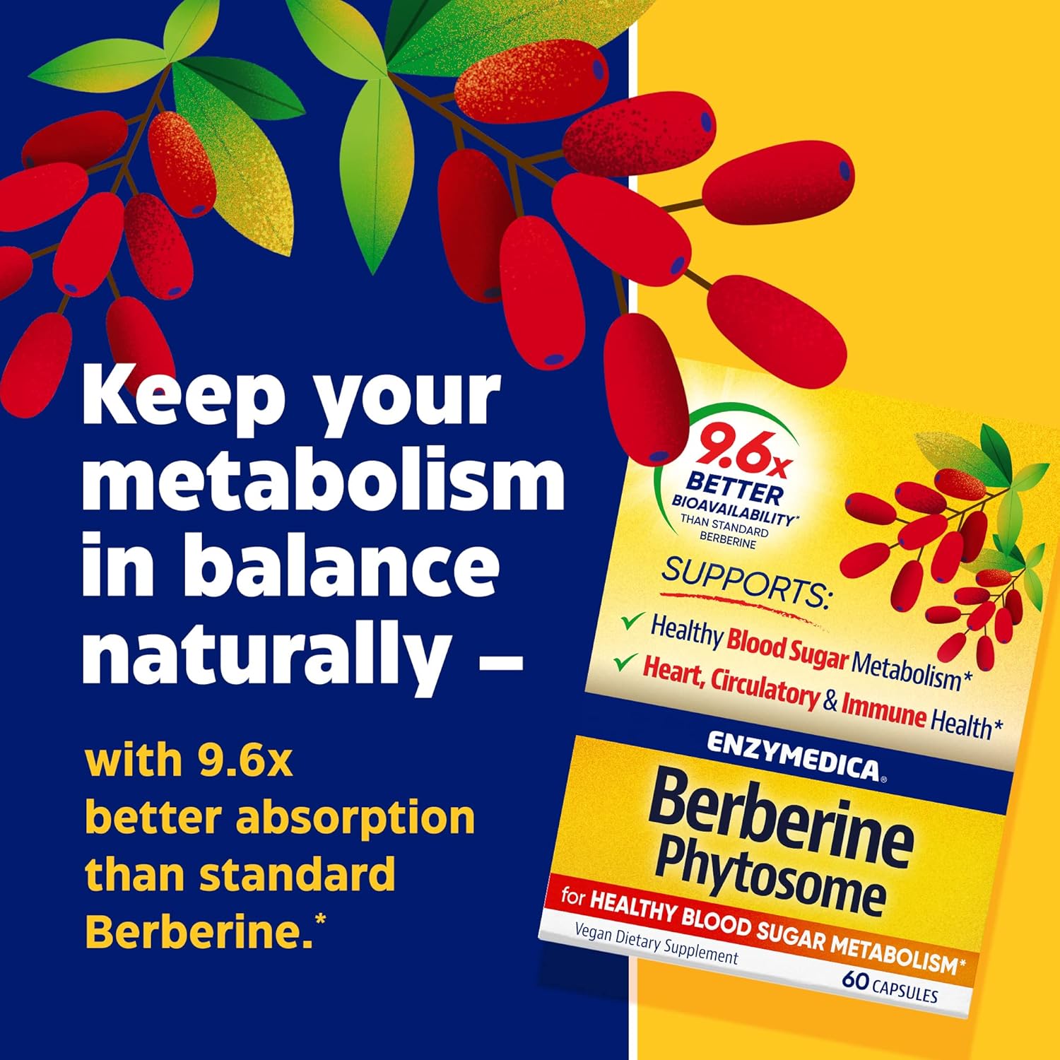 Enzymedica Berberine Phytosome Supplement for Digestive Health and Immune Support