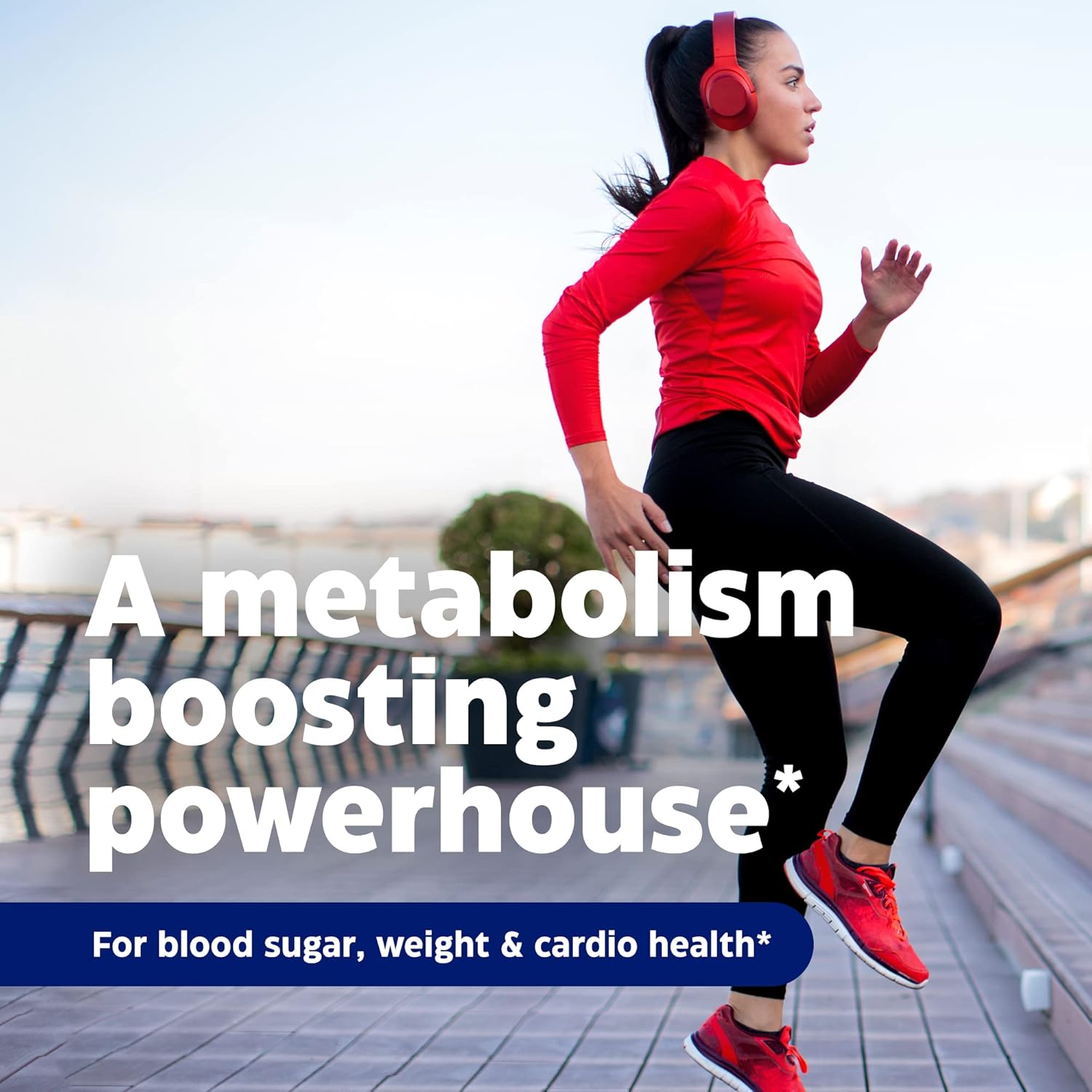 Enzymedica Berberine Phytosome Supplement for Digestive Health and Immune Support