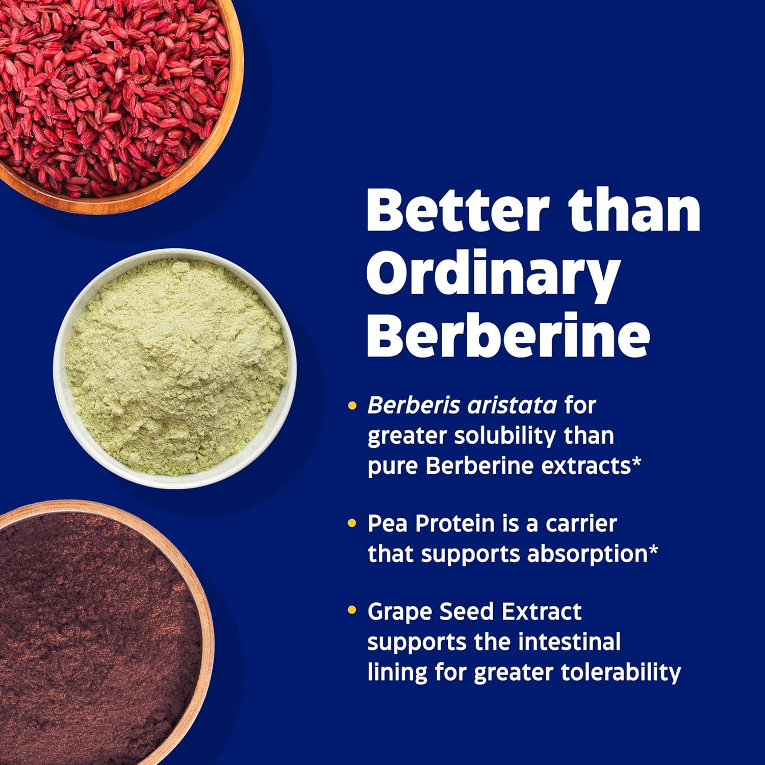 Enzymedica Berberine Phytosome Supplement for Digestive Health and Immune Support