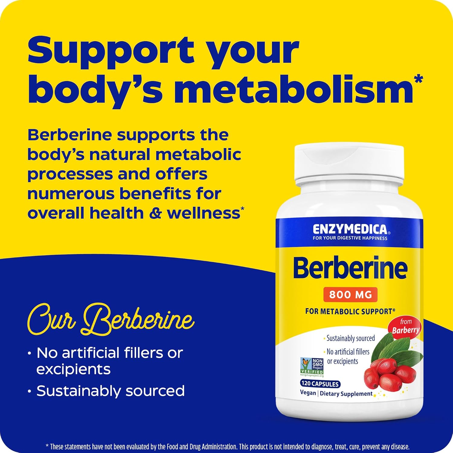 Enzymedica Berberine Supplement 800mg - 120 Capsules