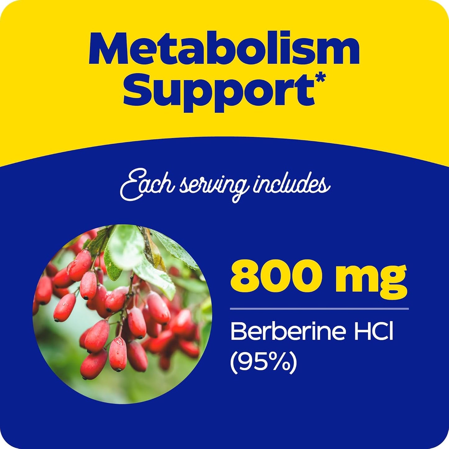 Enzymedica Berberine Supplement 800mg - 120 Capsules