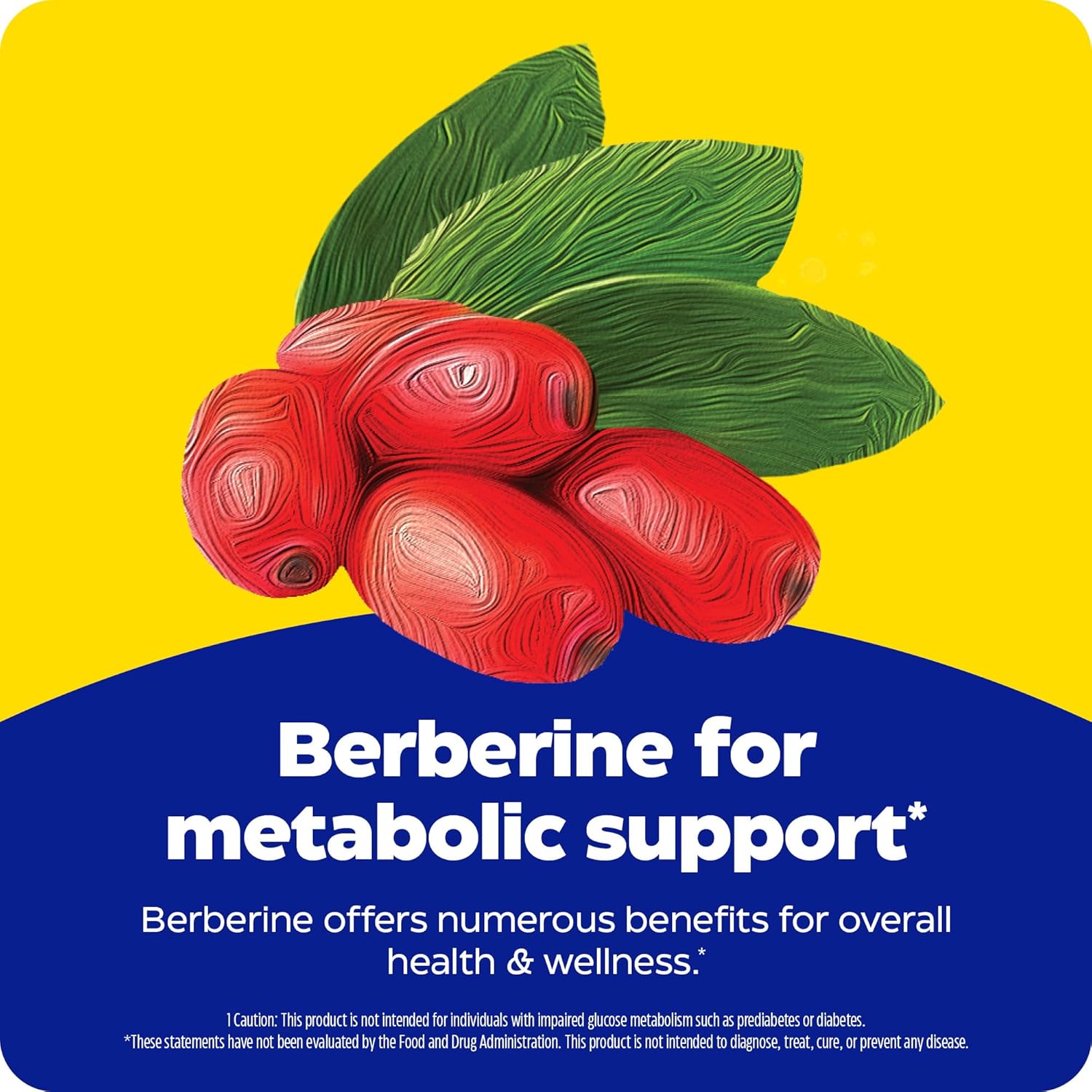 Enzymedica Berberine Supplement 800mg - 120 Capsules