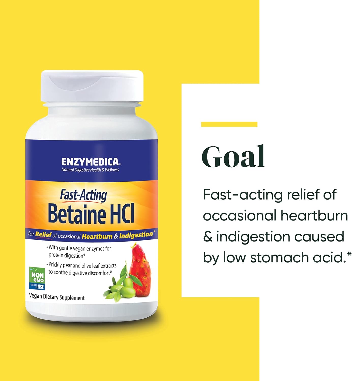 Enzymedica Betaine HCl Capsules - Digestive Support for Occasional Heartburn, 120 Count