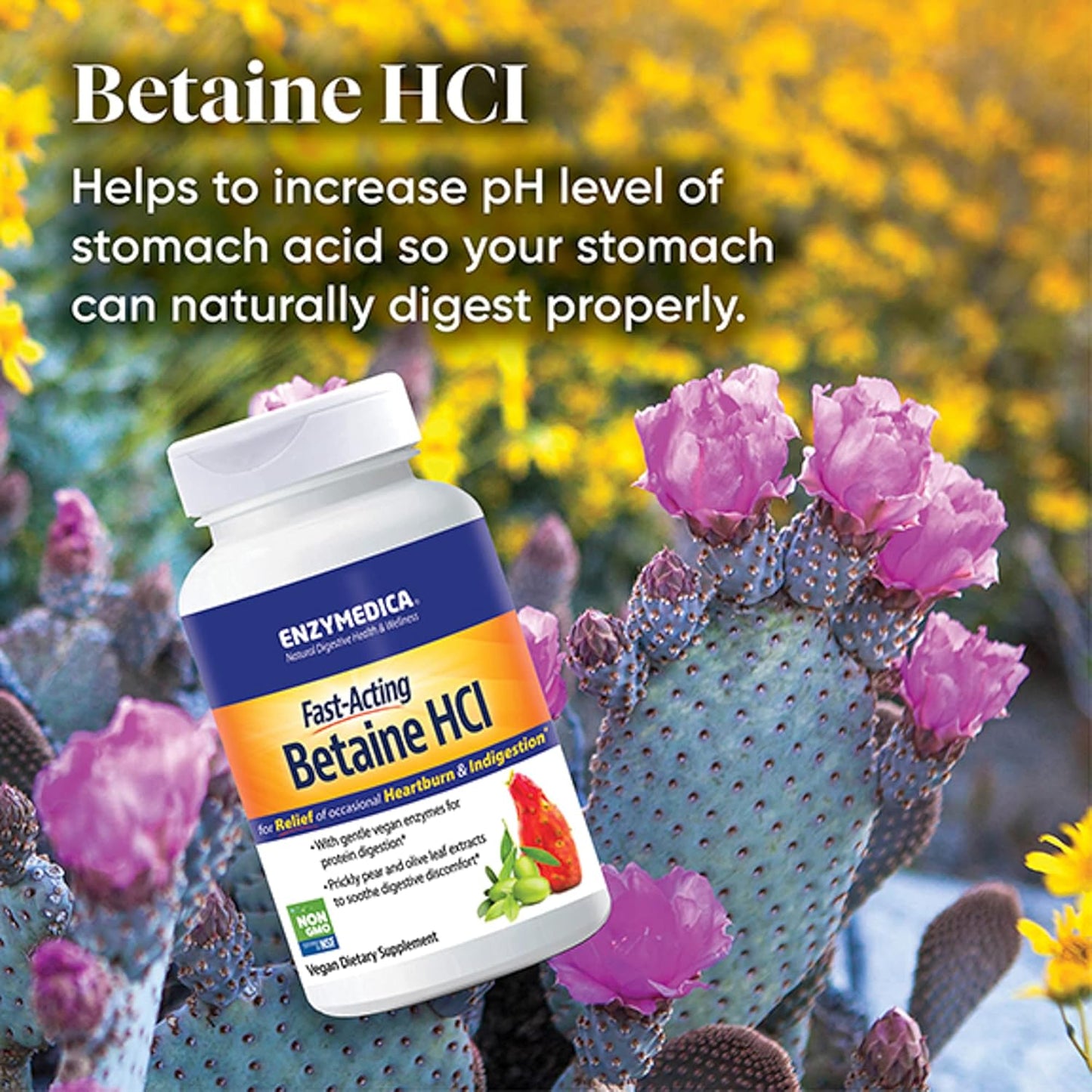 Enzymedica Betaine HCl Capsules - Digestive Support for Occasional Heartburn, 120 Count