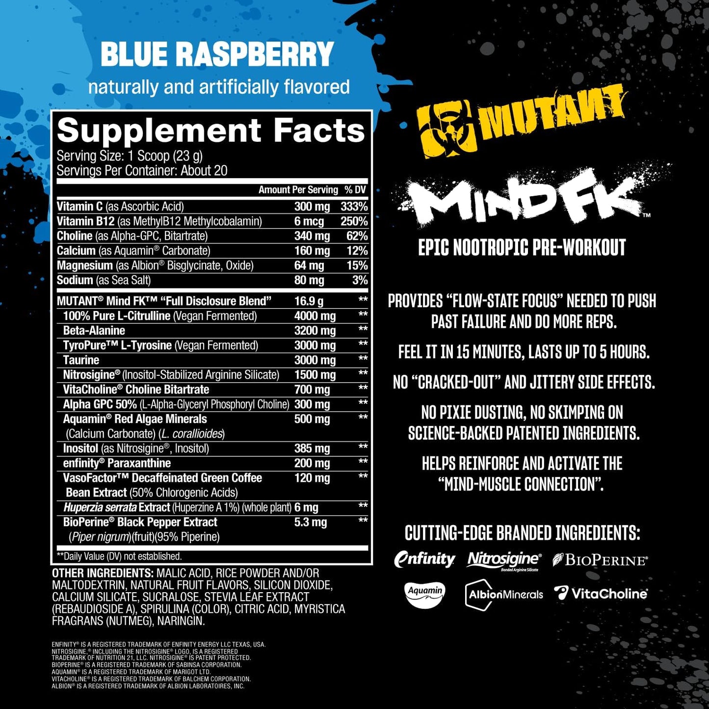 Epic Nootropic Pre-Workout for Mental Focus - Blue Raspberry Flavor - 20 Servings - 460g