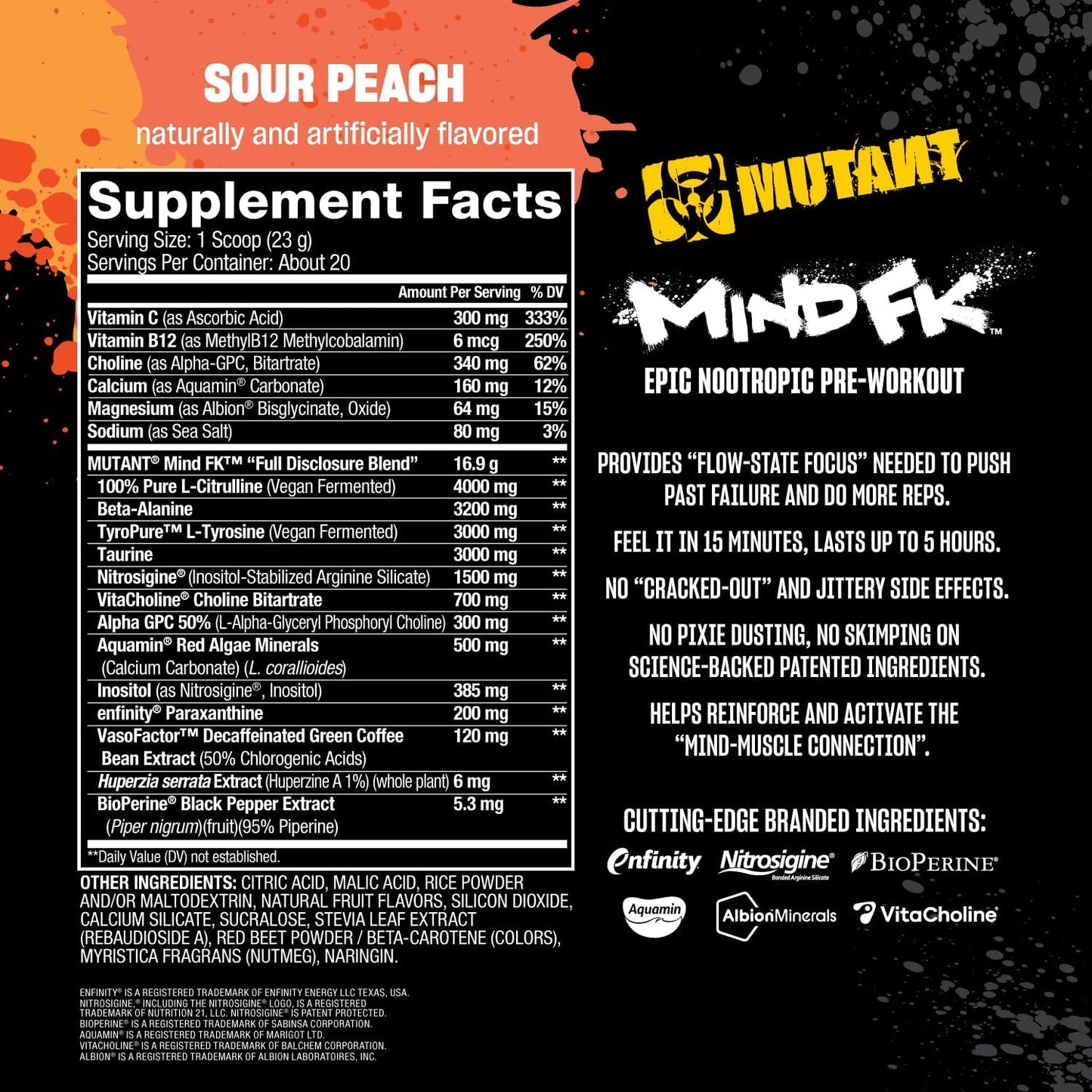 Epic Nootropic Pre-Workout Supplement for Mental Focus - Sour Peach Flavor - 20 Servings - 460g
