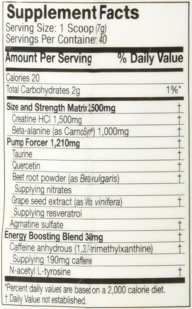 EPIQ Power Pre-Training Amplifier - Fruit Punch Flavor, 40 Servings, 280g