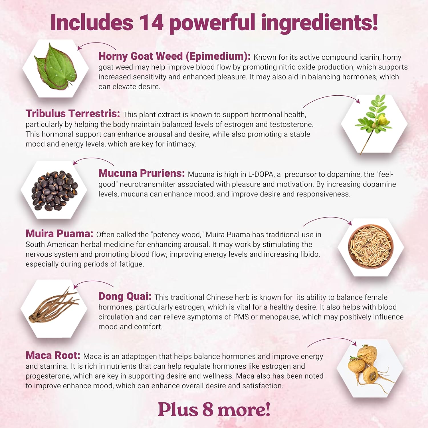 EPN Supplements Harmony Glow: Women's Libido Booster with 12 Powerful Ingredients | Boost Desire, Mood, Energy, Sensitivity | Natural & Safe - 60 Capsules