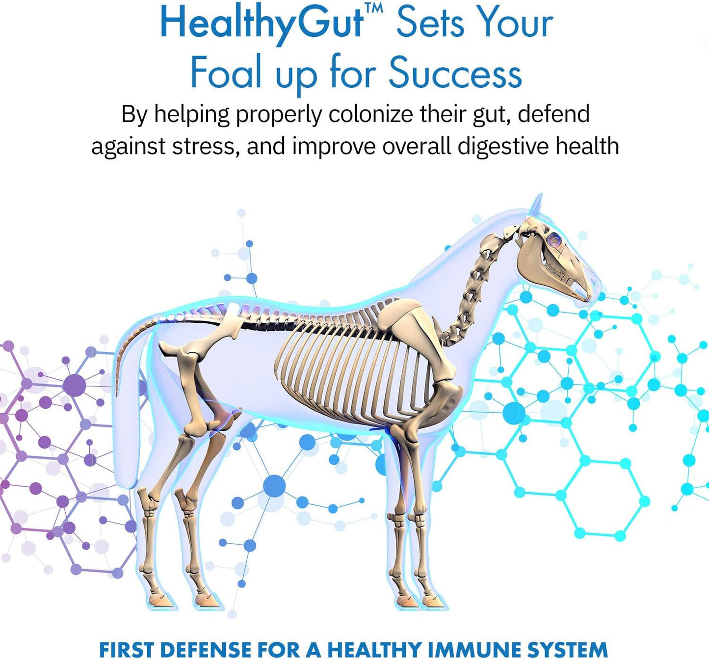 Equa Holistics HealthyGut Foal Kit: All-Natural Dietary Supplement for Horses (14g)