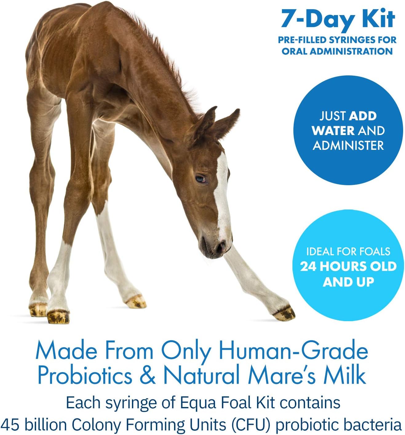 Equa Holistics HealthyGut Foal Kit: All-Natural Dietary Supplement for Horses (14g)