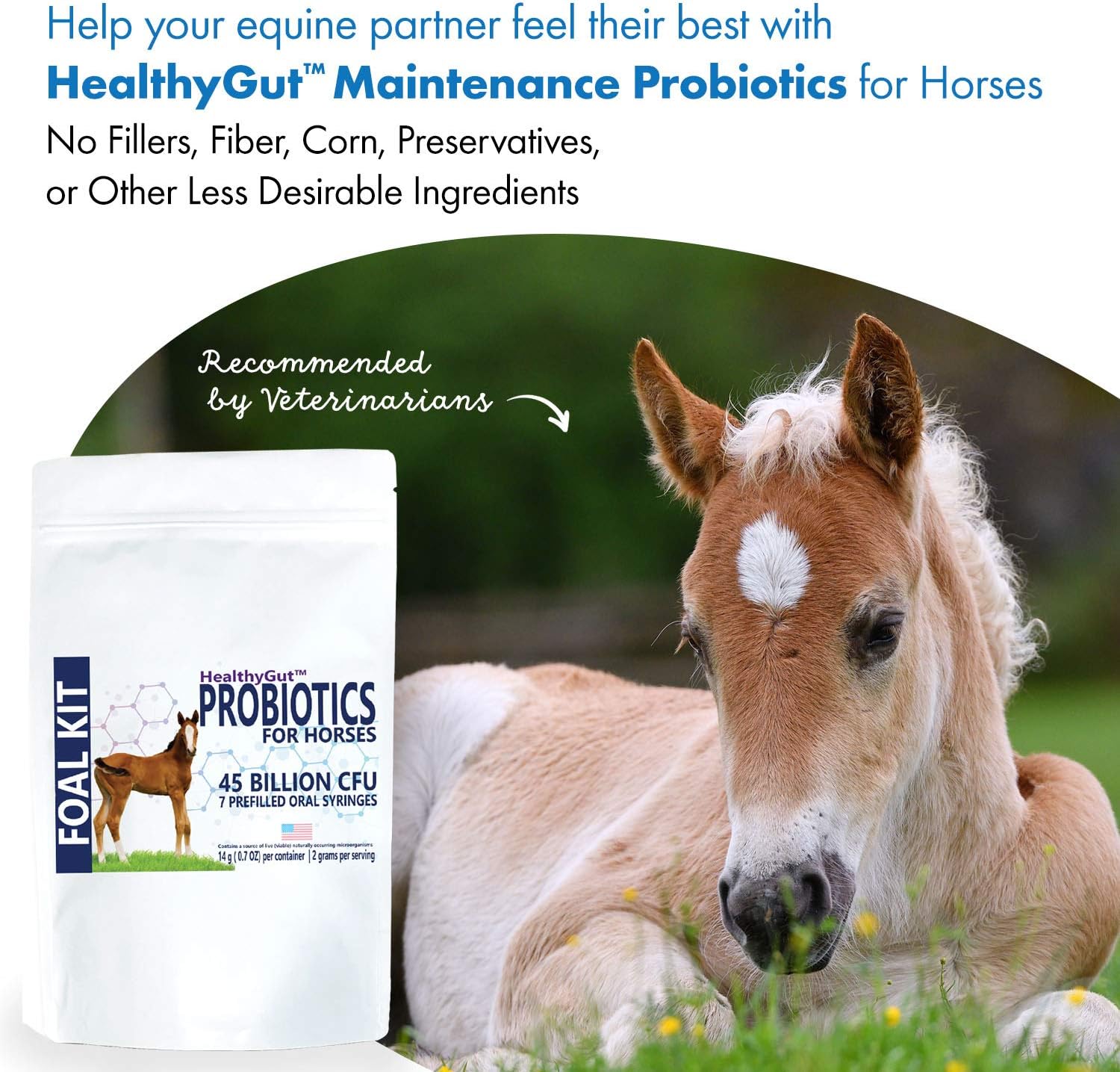 Equa Holistics HealthyGut Foal Kit: All-Natural Dietary Supplement for Horses (14g)