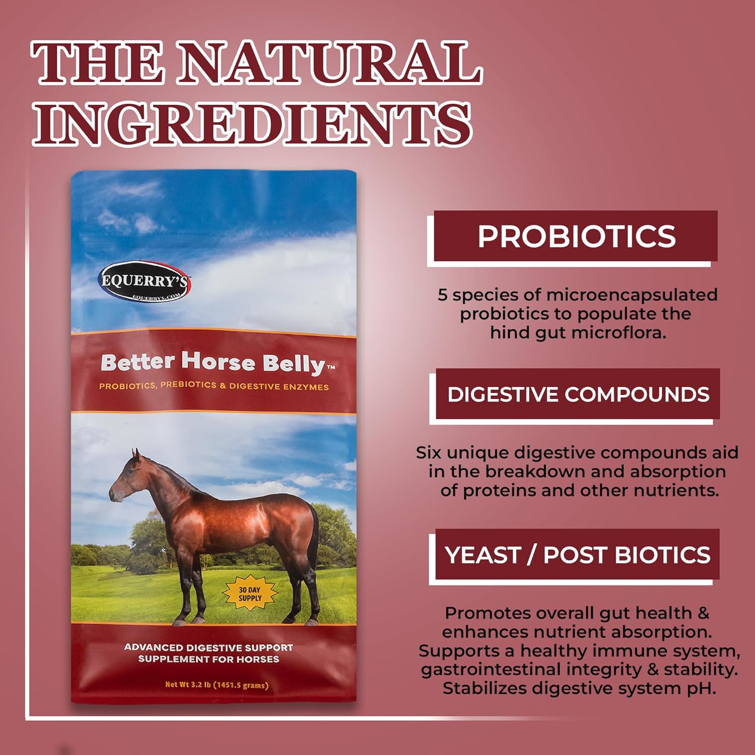 Equerry's Horse Belly Support - Probiotic & Prebiotic Digestive Supplement for Horses - 3.2LB