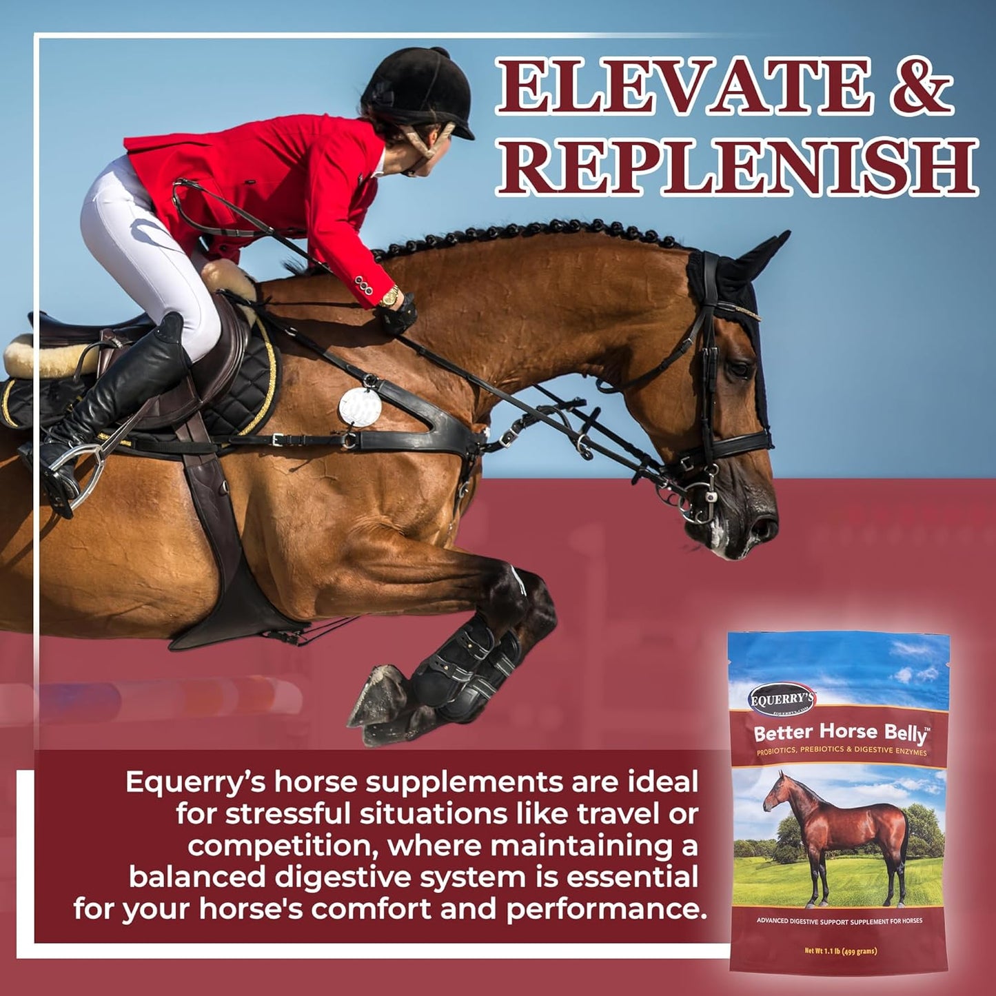 Equerry's Horse Gut Health - Probiotic and Prebiotic Supplement for Colic and Digestive Upset - 1.1LB