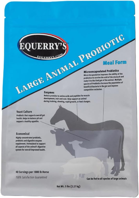 Equerry's Large Animal Probiotic for Gut Health and Nutrient Absorption | Probiotics & Digestive Enzymes for Horses, Cows, Goats, Sheep, Pigs | 40 Feedings | 5 lbs