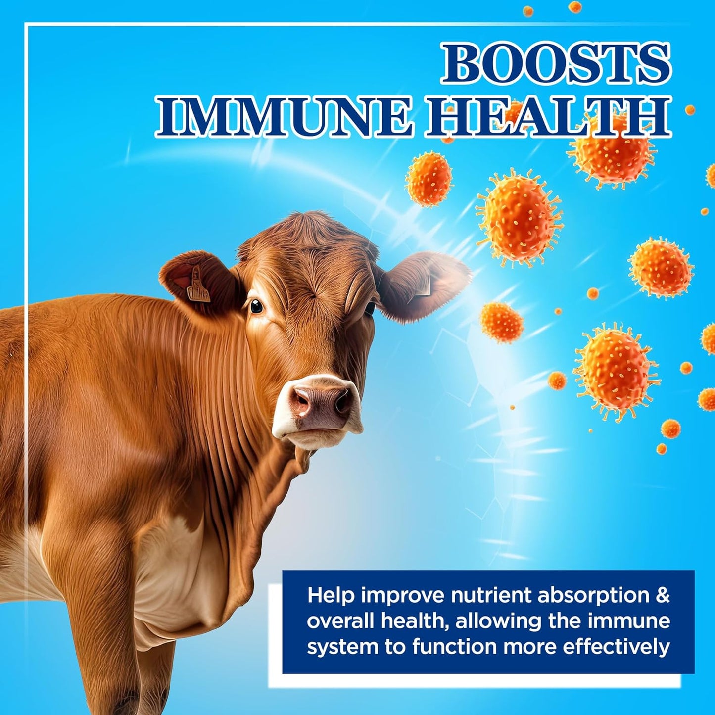 Equerry's Large Animal Probiotic for Gut Health and Nutrient Absorption | Probiotics & Digestive Enzymes for Horses, Cows, Goats, Sheep, Pigs | 40 Feedings | 5 lbs