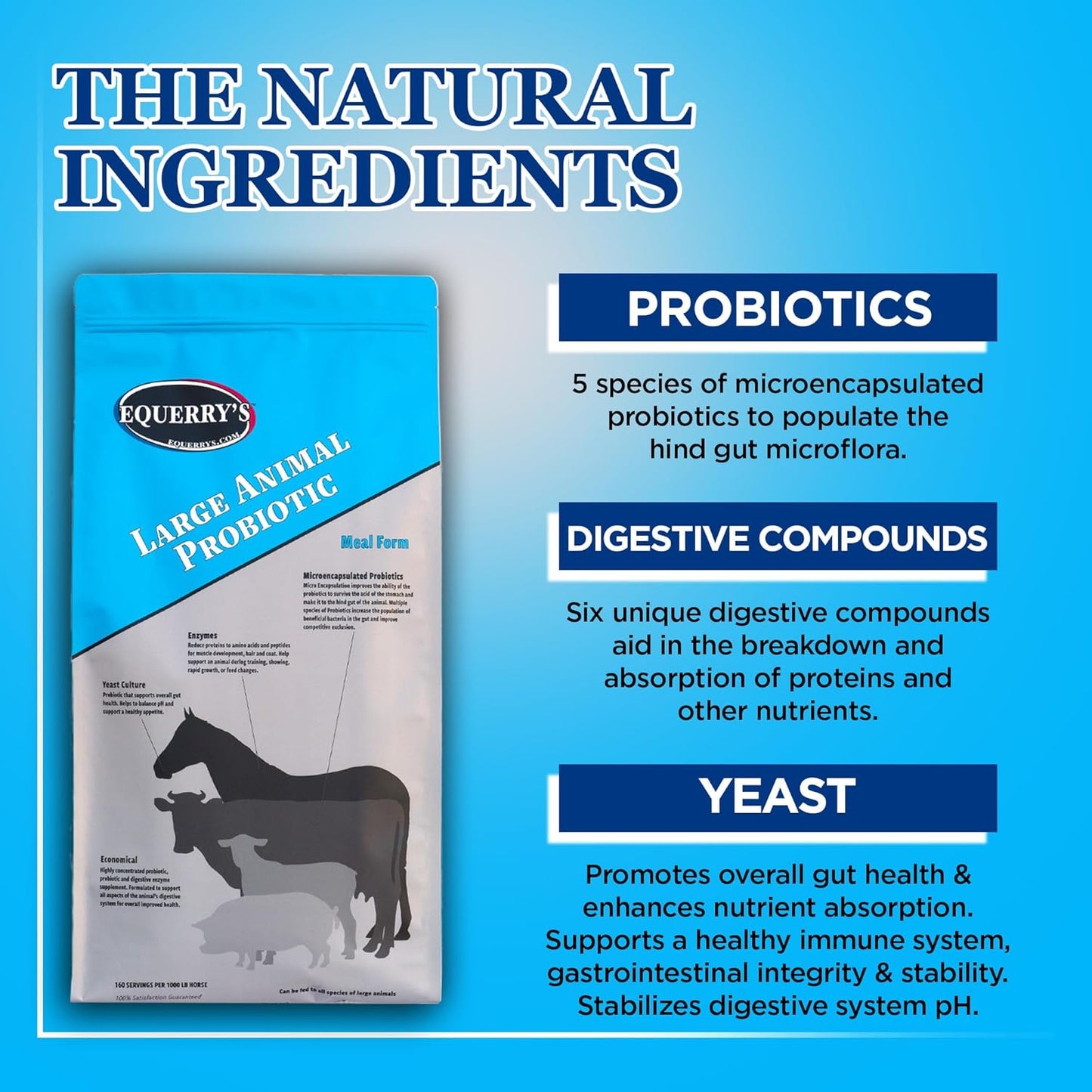 Equerry's Large Animal Probiotic for Gut Health and Nutrient Absorption | Probiotics & Digestive Enzymes for Horses, Cows, Goats, Sheep, Pigs | 40 Feedings | 5 lbs